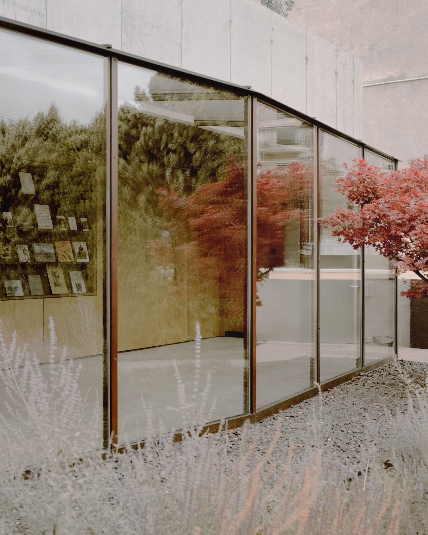 Atipografia Threshold and Treasure Gallery by AMAA — A glazed threshold pavilion extends from the raw concrete structure, its expansive glass facades reflecting the surrounding landscape of coniferous trees...