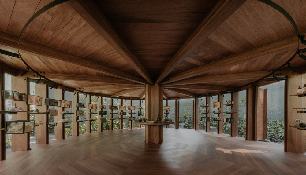 Xinú Marsella by Esrawe Studio by Estrawe Studio — A timber pavilion with radial shelving structure demonstrates post-and-beam construction, its cantilevered wooden arms extending from central vertical...