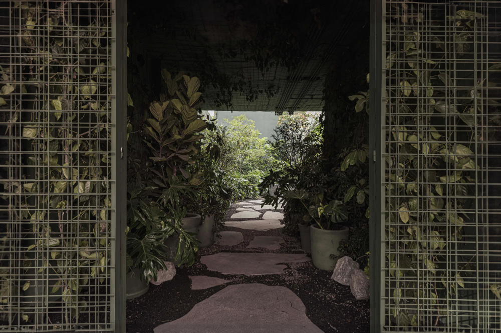 Xinú Marsella by Esrawe Studio by Estrawe Studio — A passage framed by two trellised metal screens planted with climbing vegetation creates a green threshold into the garden.