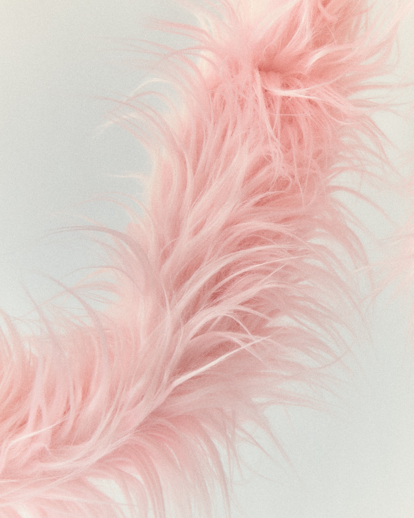 FURRY by Pedestal x NIKO JUNE — A close-up vertical composition of the FURRY cord sleeve in soft pink synthetic fur, photographed against a neutral background.