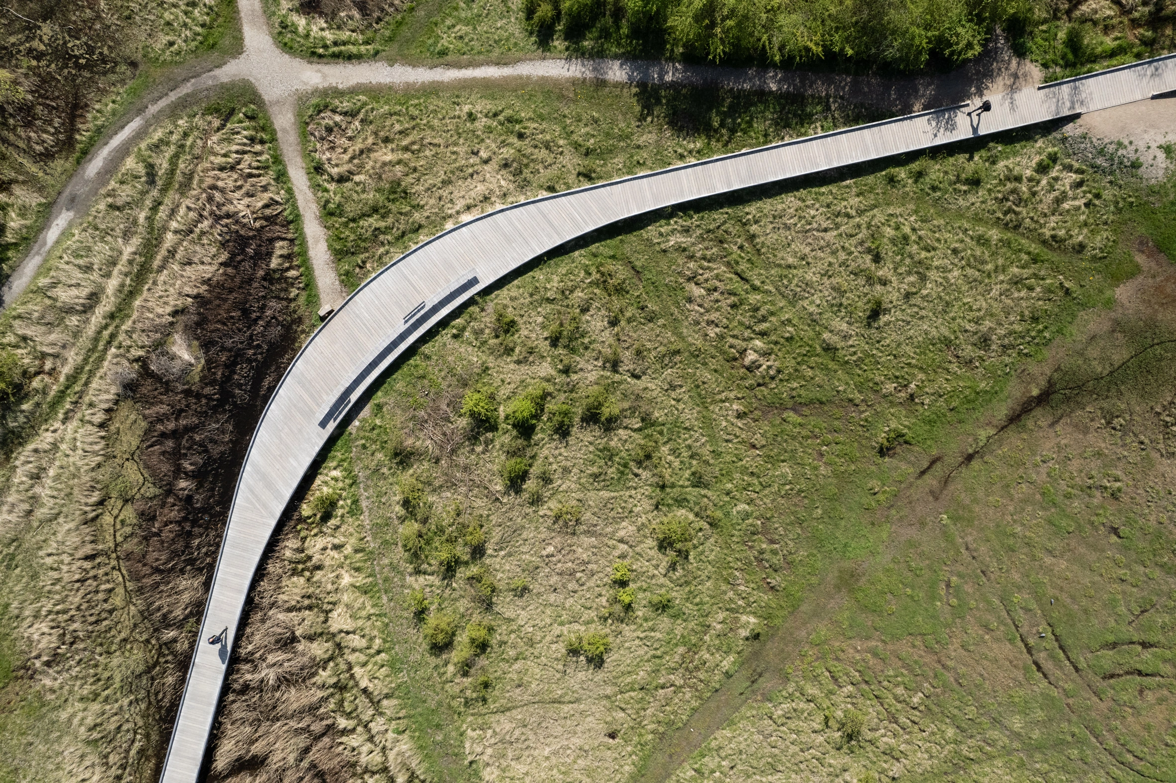 Amager Nature Park by ADEPT and LYTT Architecture — An aerial perspective reveals a curving boardwalk cutting through dense vegetation and cultivated fields.