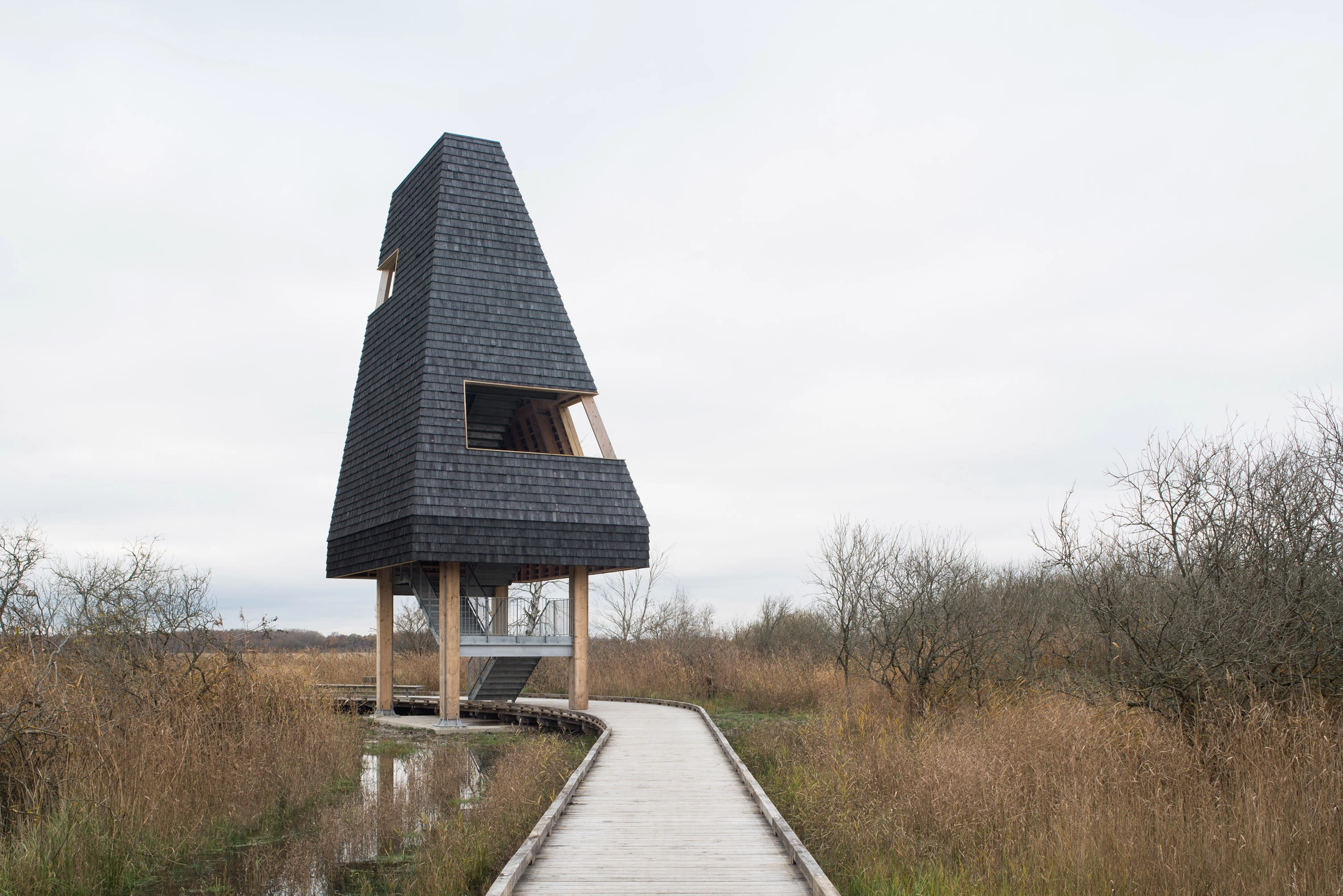 Amager Nature Park by ADEPT and LYTT Architecture — A conical timber observation tower rises from a wooden boardwalk threading through winter marshland.
