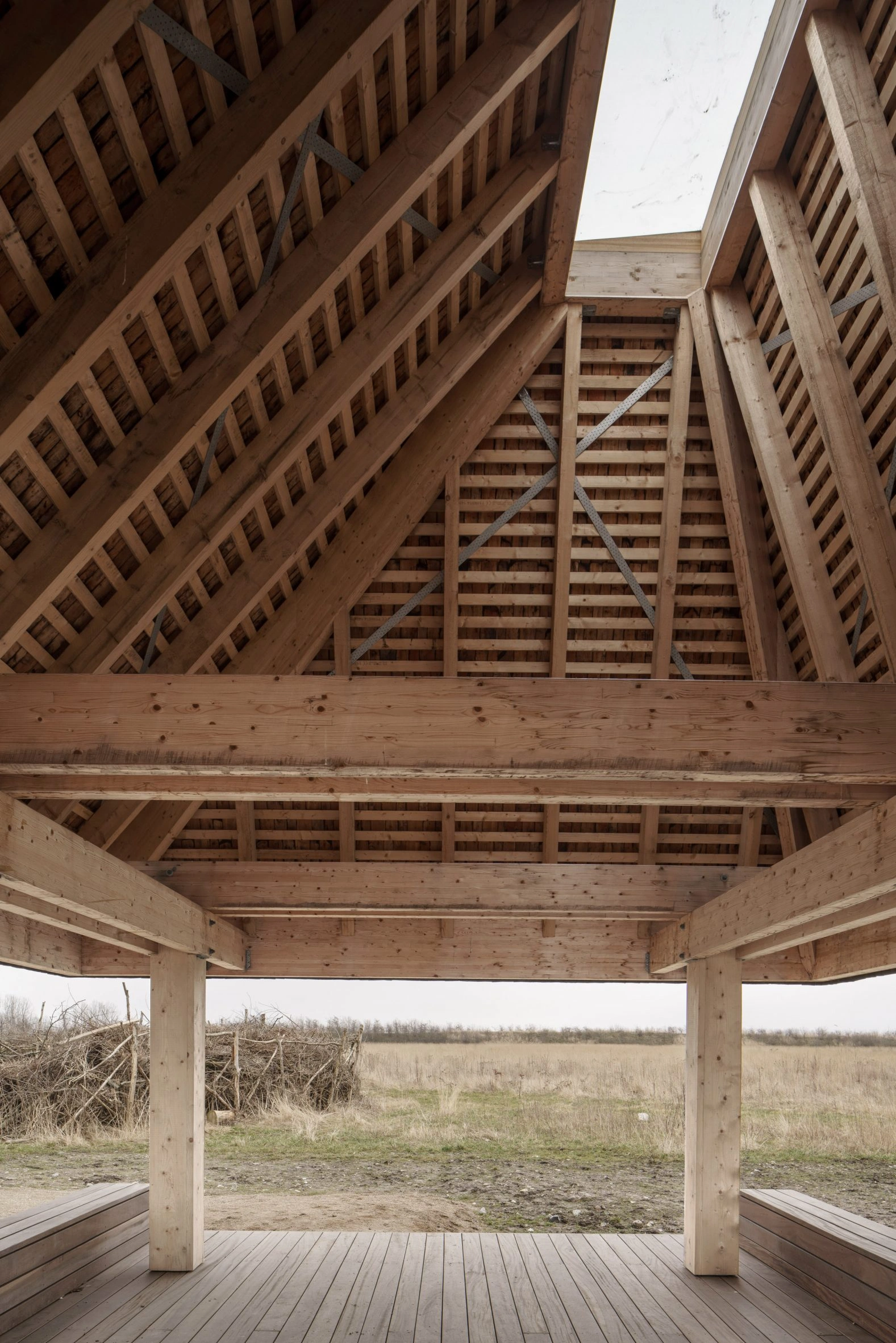 Amager Nature Park by ADEPT and LYTT Architecture — Interior view from beneath a timber pavilion in Amager Nature Park, revealing the structural logic of post-and-beam construction.