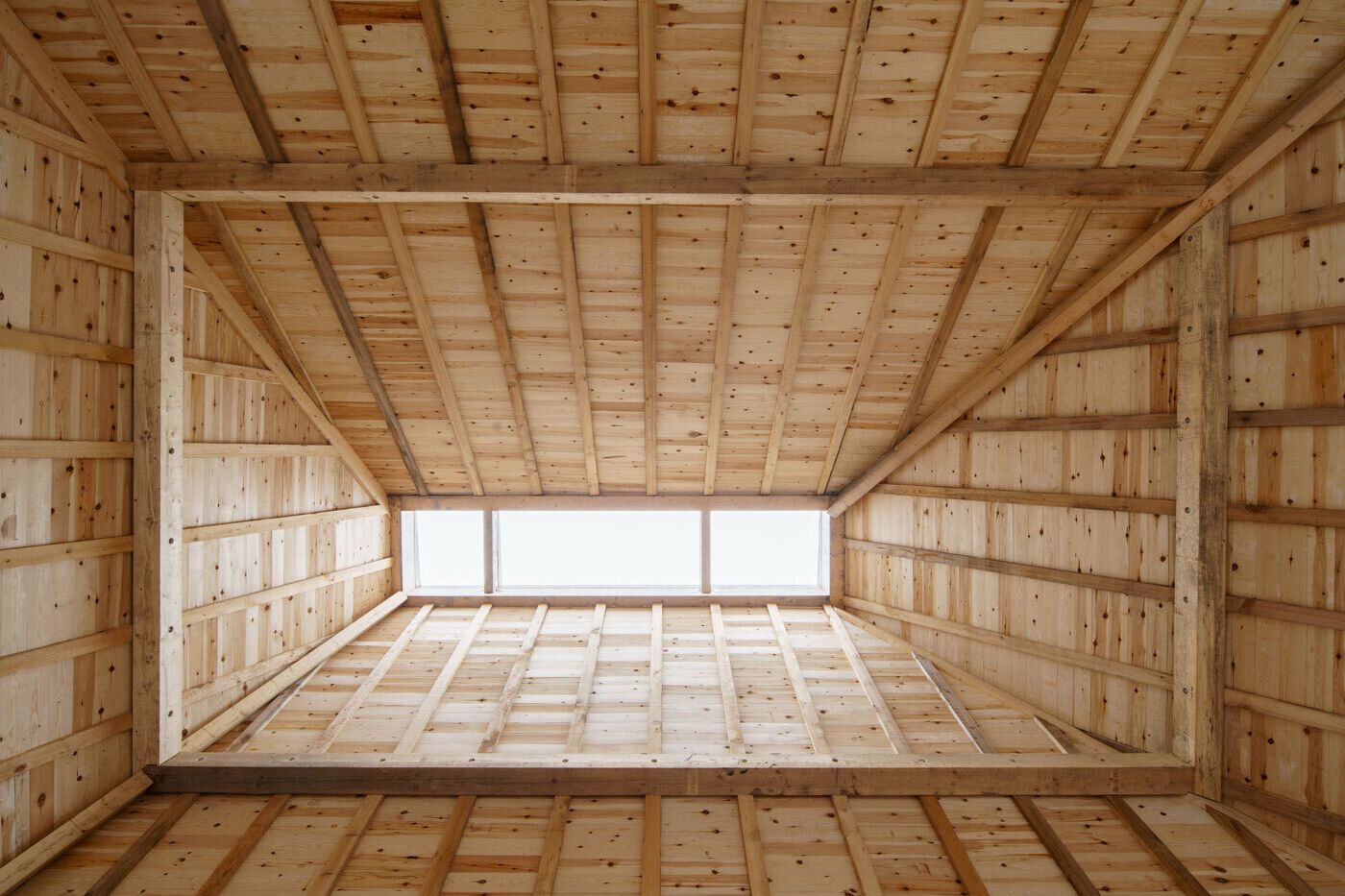 Amager Nature Park by ADEPT and LYTT Architecture — Interior view of a timber-frame pavilion with exposed post-and-beam construction throughout.