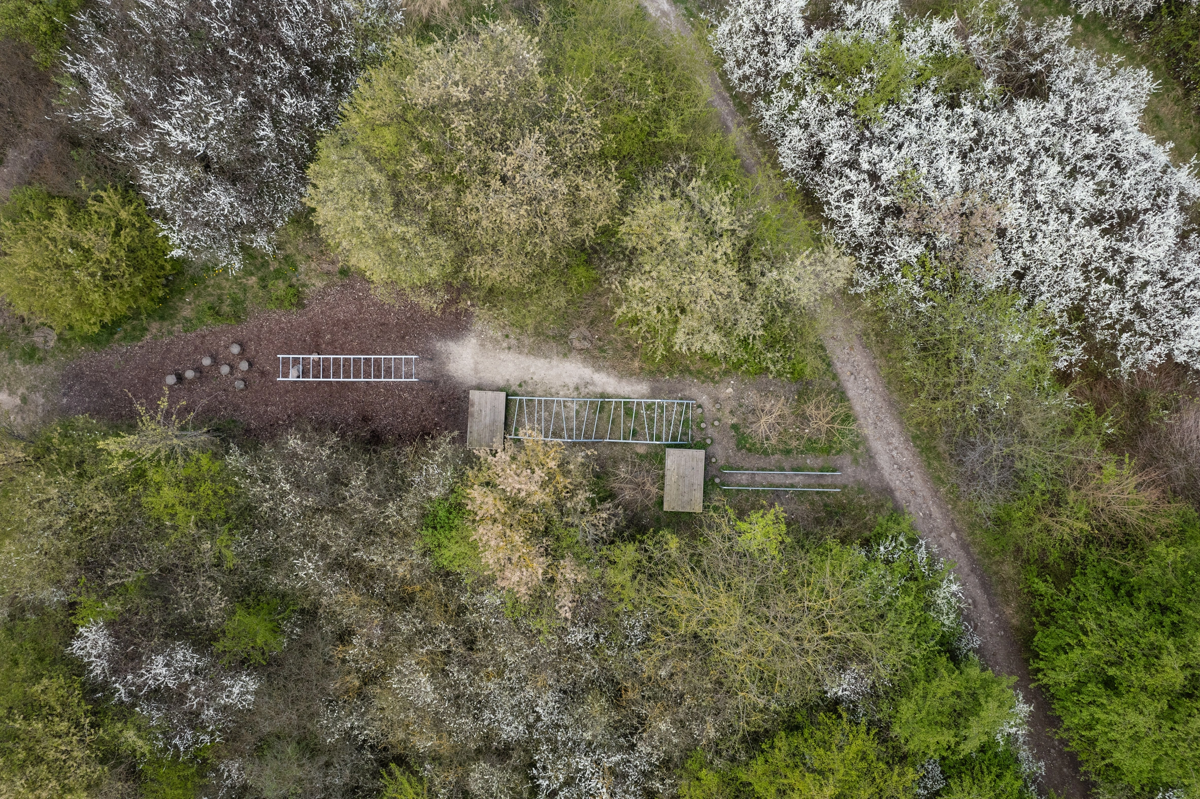 Amager Nature Park by ADEPT and LYTT Architecture — Aerial view of a timber-railed viewing platform embedded within dense woodland, its geometric footprint sharply delineated against lichen-covered forest floor.