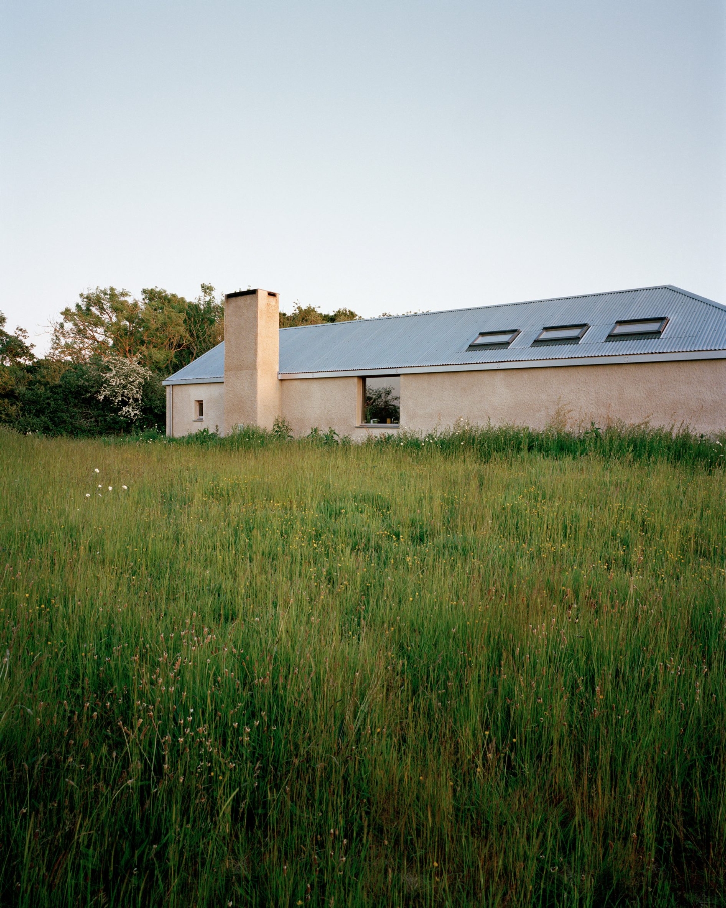 Farmworker's House by Hugh Strange Architects — The house emerges from a field of tall meadow grasses in late summer growth, its cream-rendered walls and dark standing-seam metal roof anchoring the...