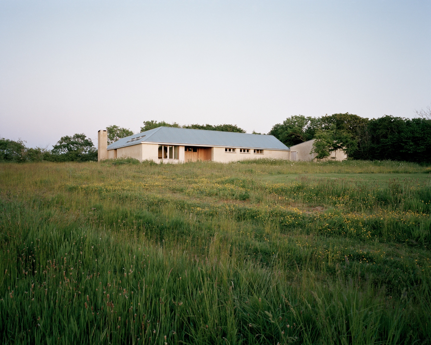 Farmworker's House by Hugh Strange Architects — A rendered farmhouse occupies the mid-ground of an overgrown meadow dotted with yellow wildflowers and tall grasses.