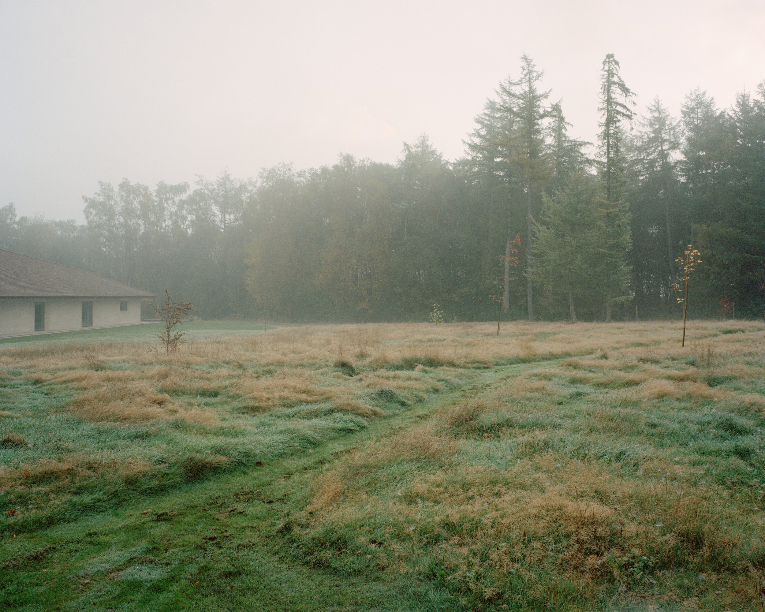 Eavesdrop by Tom Dowdall — The Eavesdrop residence emerges from mist-laden woodland in Sussex, its rendered white walls and pitched slate roof anchoring a clearing of frost-touched...