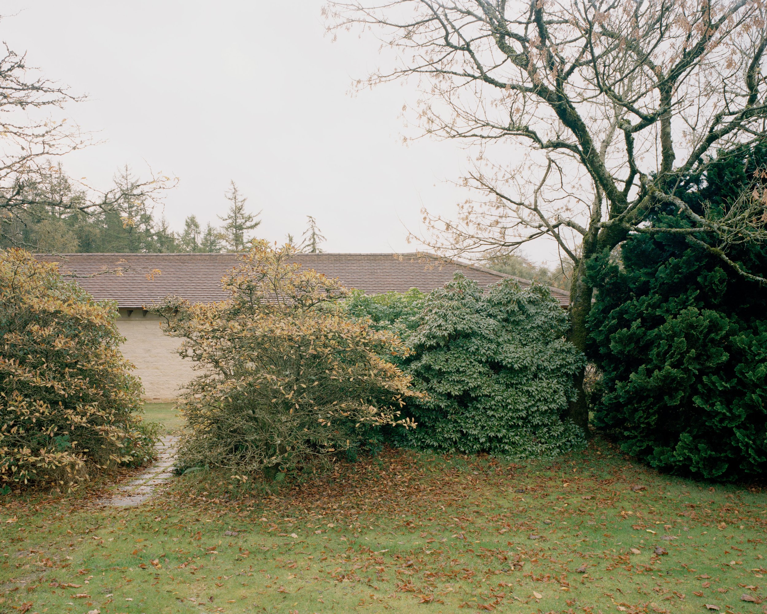 Eavesdrop by Tom Dowdall — The single-story residence emerges from landscaped grounds scattered with autumn leaf fall, its pitched slate roof visible above dense deciduous and...