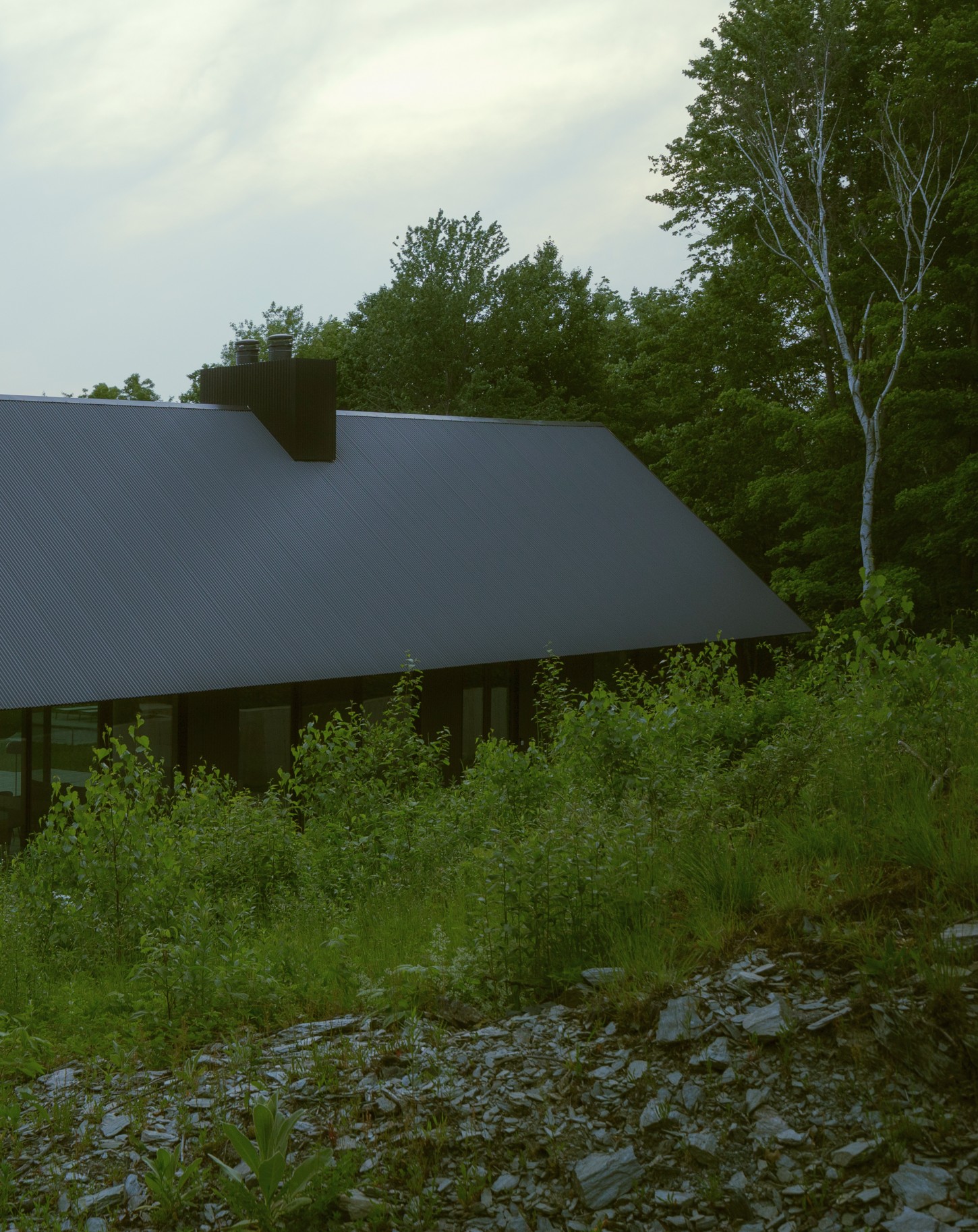 House in a Meadow by Group Projects Architecture — The house reveals itself through dense meadow vegetation and scattered stone scree, its black corrugated metal cladding barely visible above the wild...