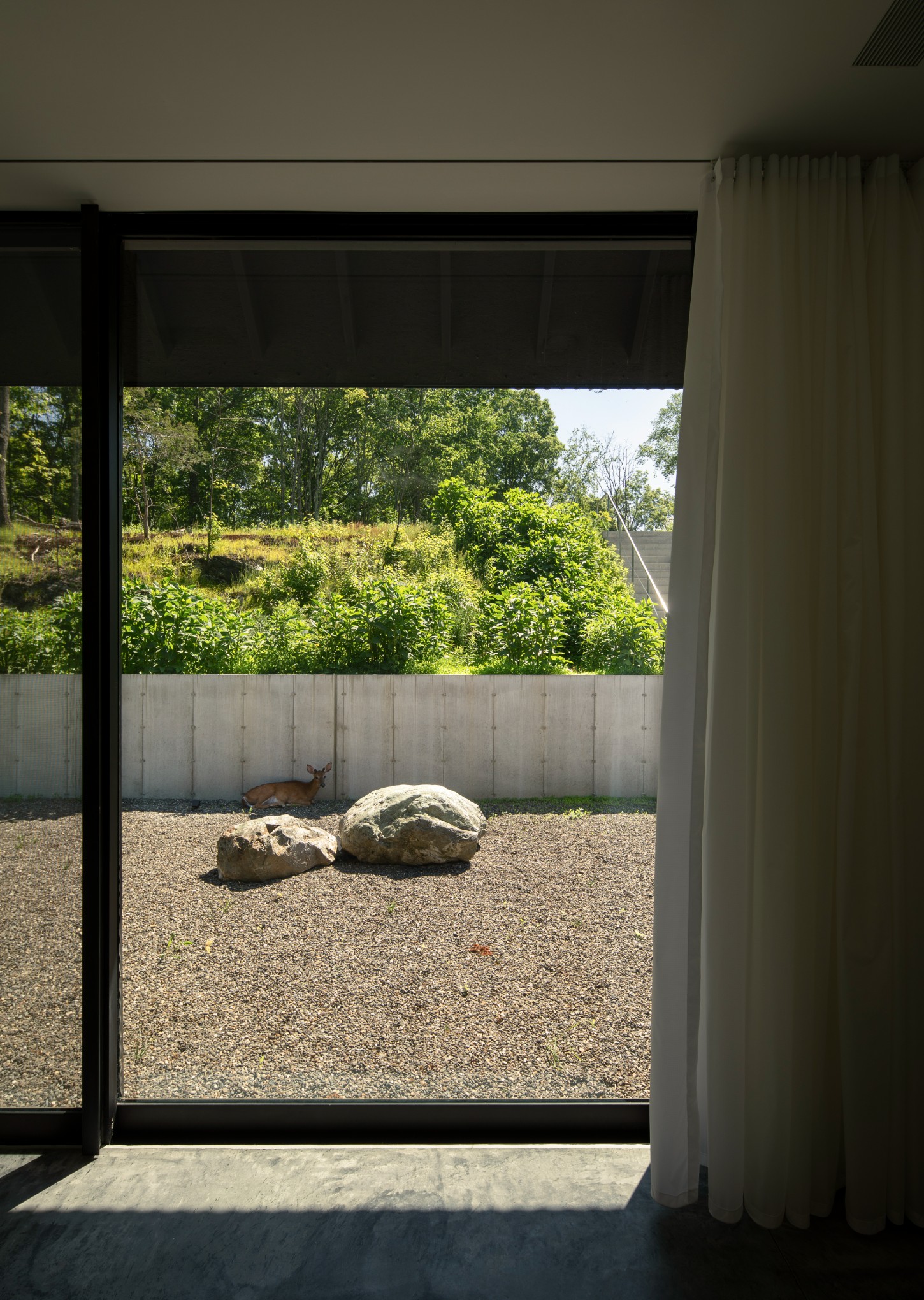 House in a Meadow by Group Projects Architecture — View from interior through expansive horizontal glazing recessed beneath deep cantilevered overhang.