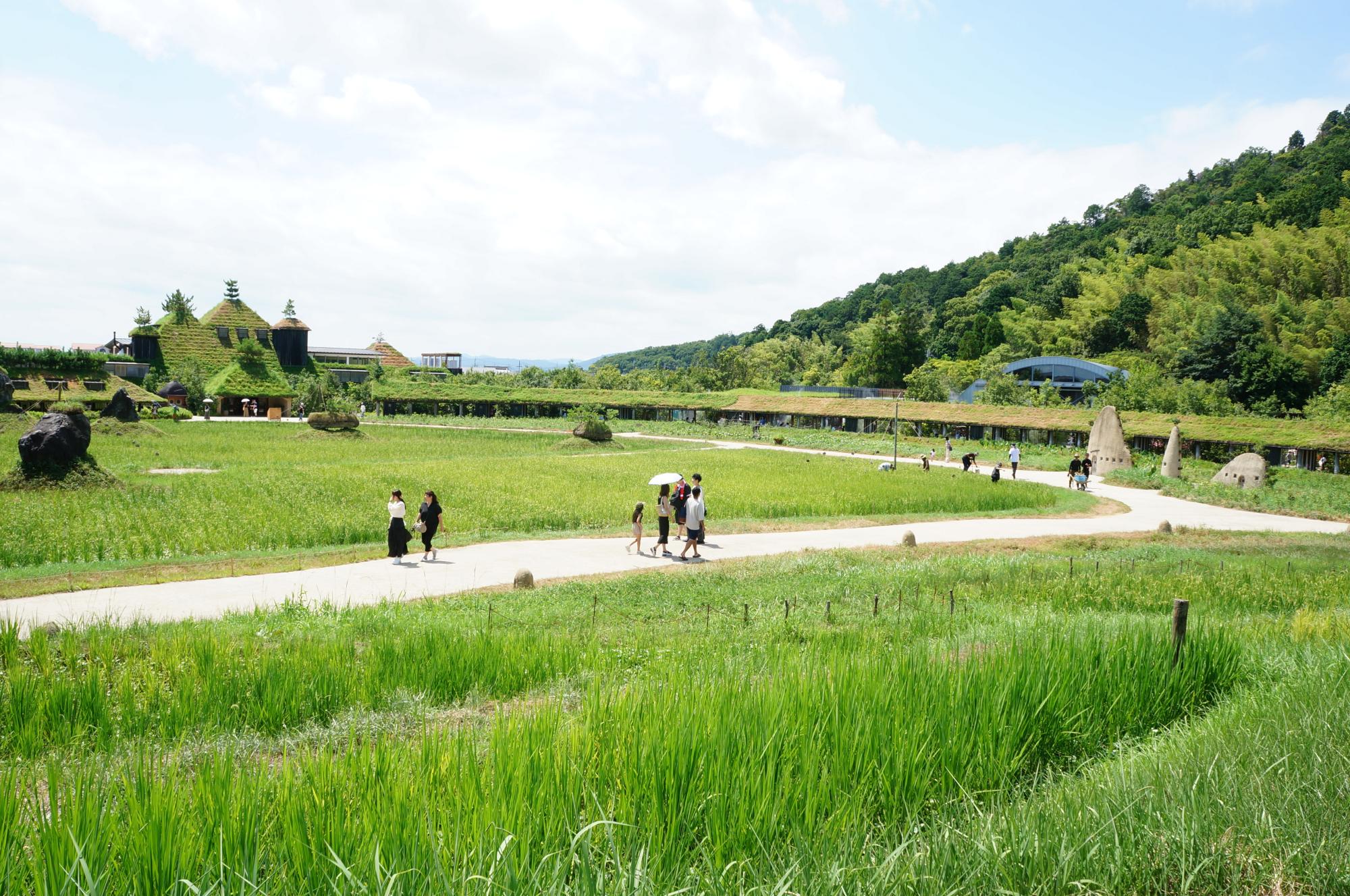 La Collina Ōmi-Hachiman by Terunobu Fujimori + Michele De Lucchi — Visitors traverse a winding concrete pathway that meanders through a verdant hillside planted with young pine specimens and punctuated by stone sculptural...