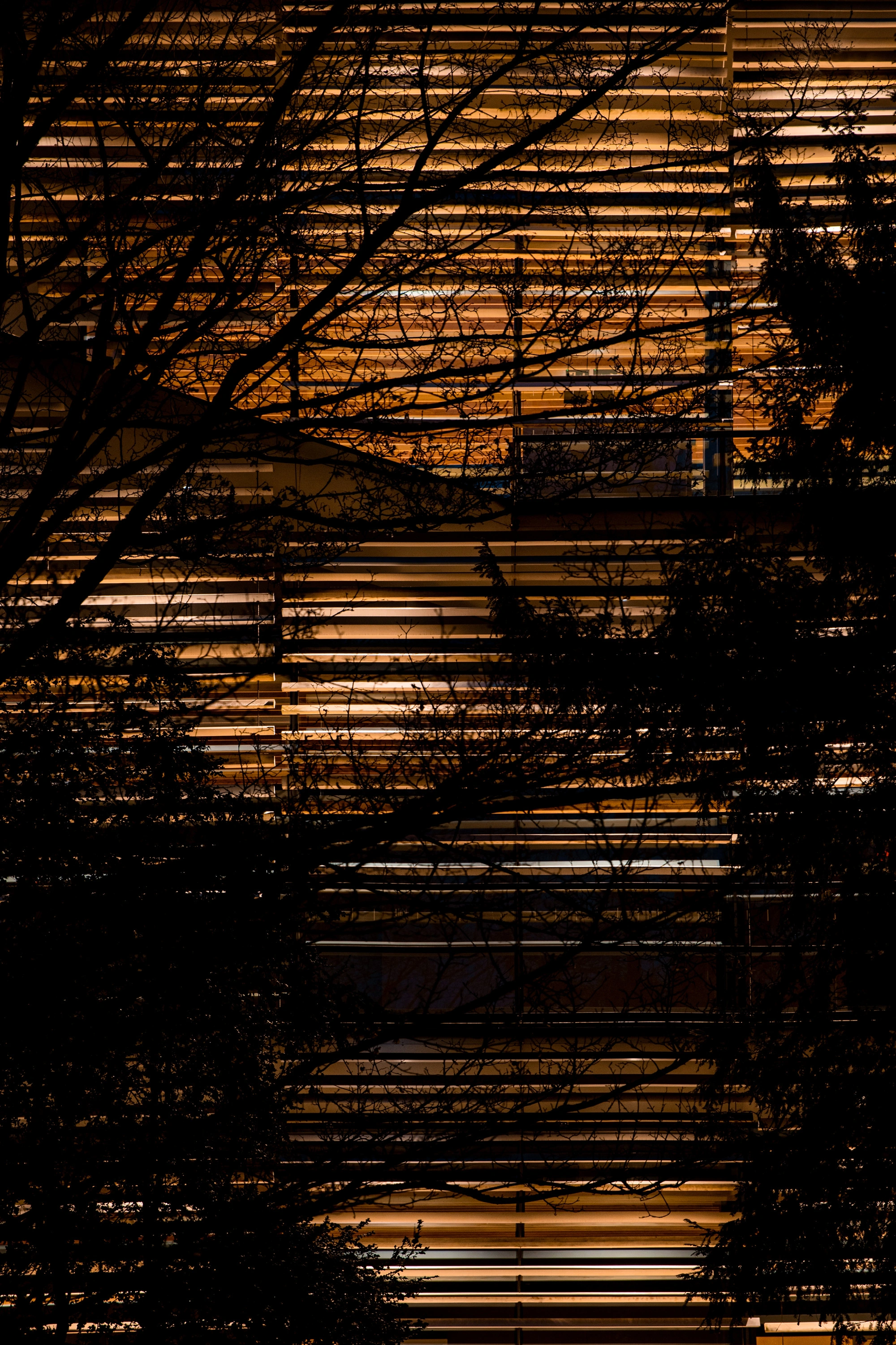 Albert Kahn Museum by Kengo Kuma & Associates — Golden-hour backlighting illuminates the museum's continuous horizontal aluminum striations, their linear rhythm interrupted by bare tree branches...