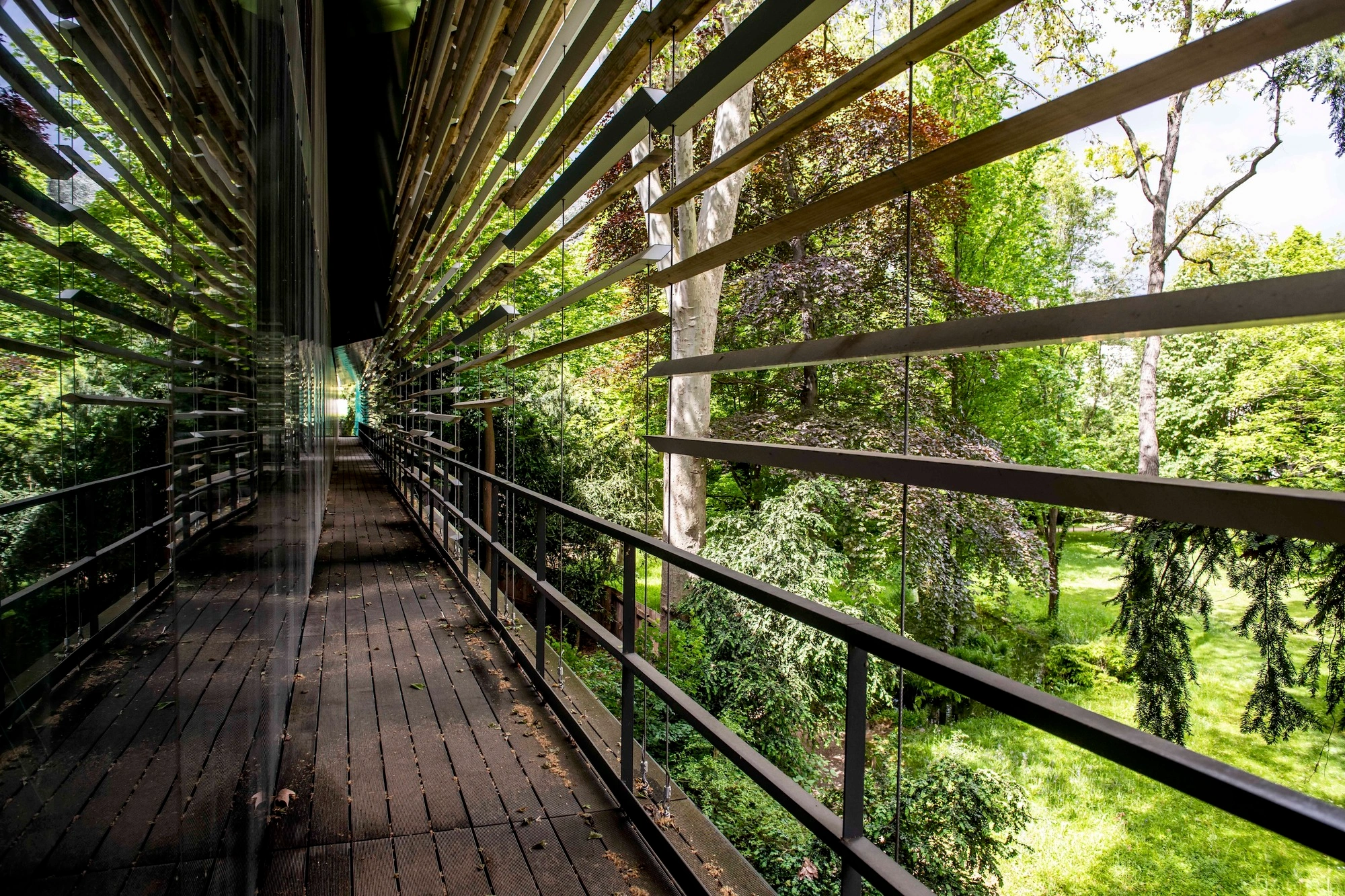Albert Kahn Museum by Kengo Kuma & Associates — A timber-decked elevated walkway extends through the forest canopy, enclosed by black aluminum railings and overhead latticed screening.