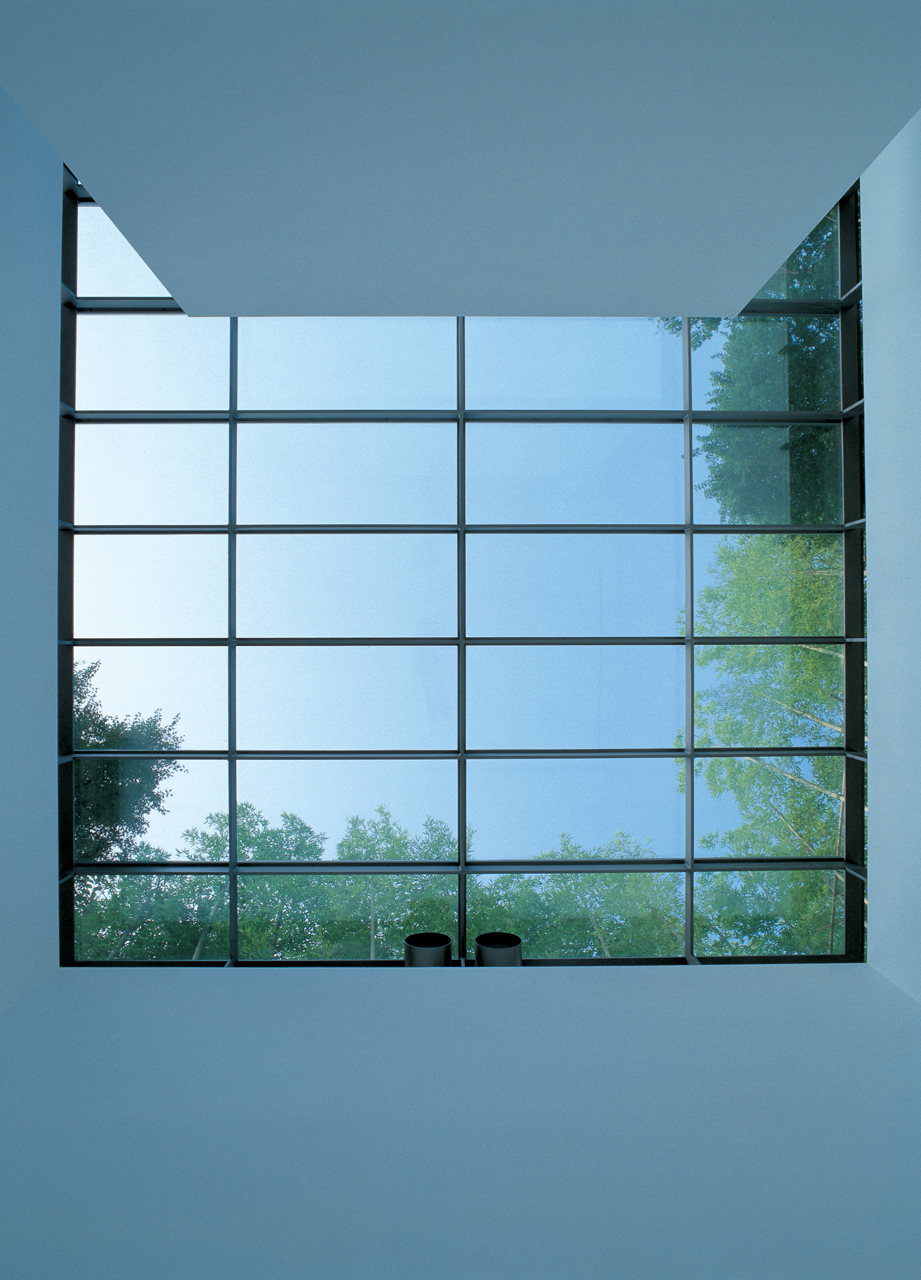 Glass Temple by Takashi Yamaguchi & Associates — A large-scale industrial steel-frame window with 24 panes divides the interior from an overgrown exterior landscape.