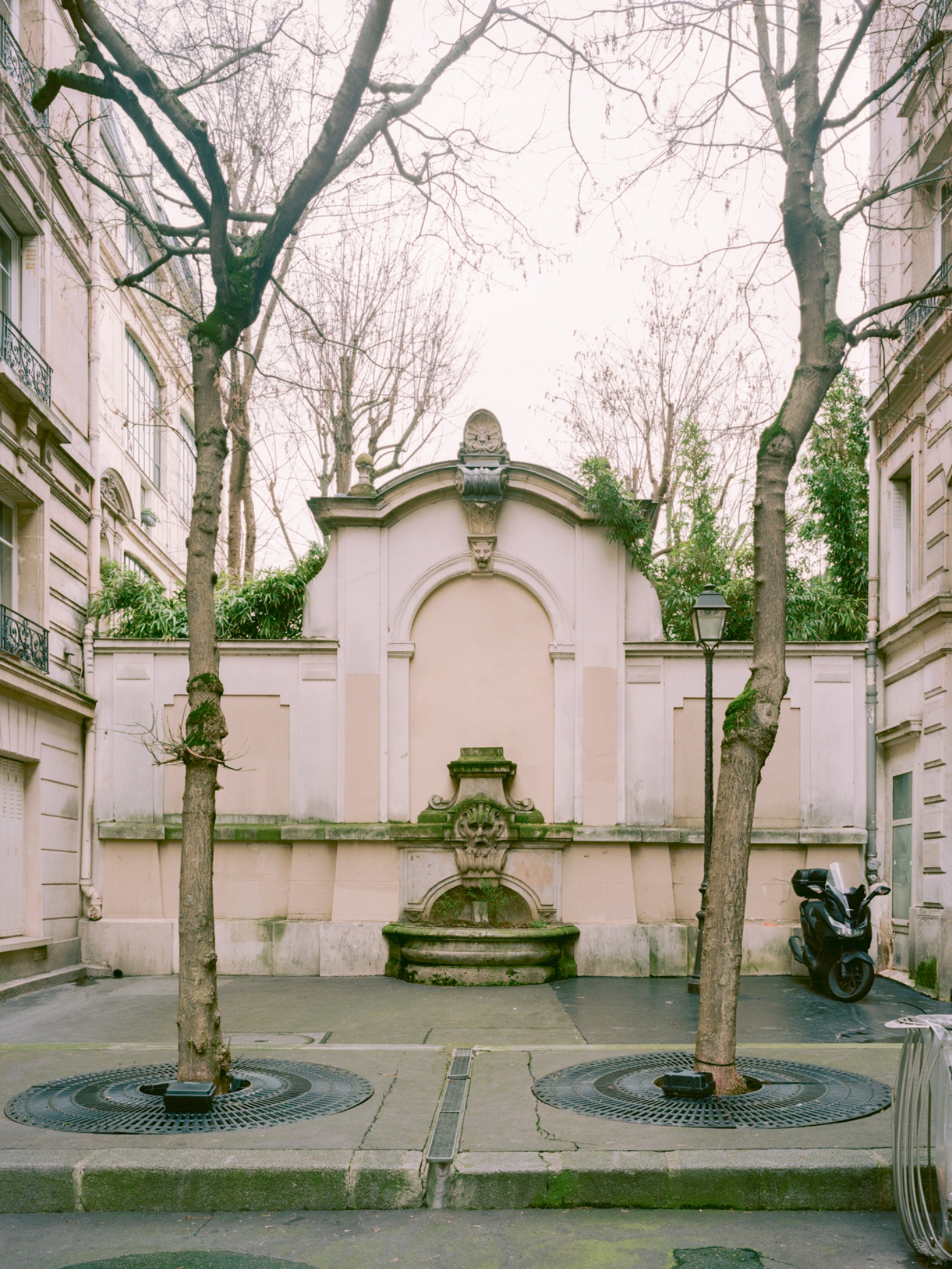 Casey Casey Showroom by Atelier NEA — A symmetrical courtyard view framed by bare deciduous trees with moss-covered trunks, their delicate branching creating a natural lattice against pale sky.