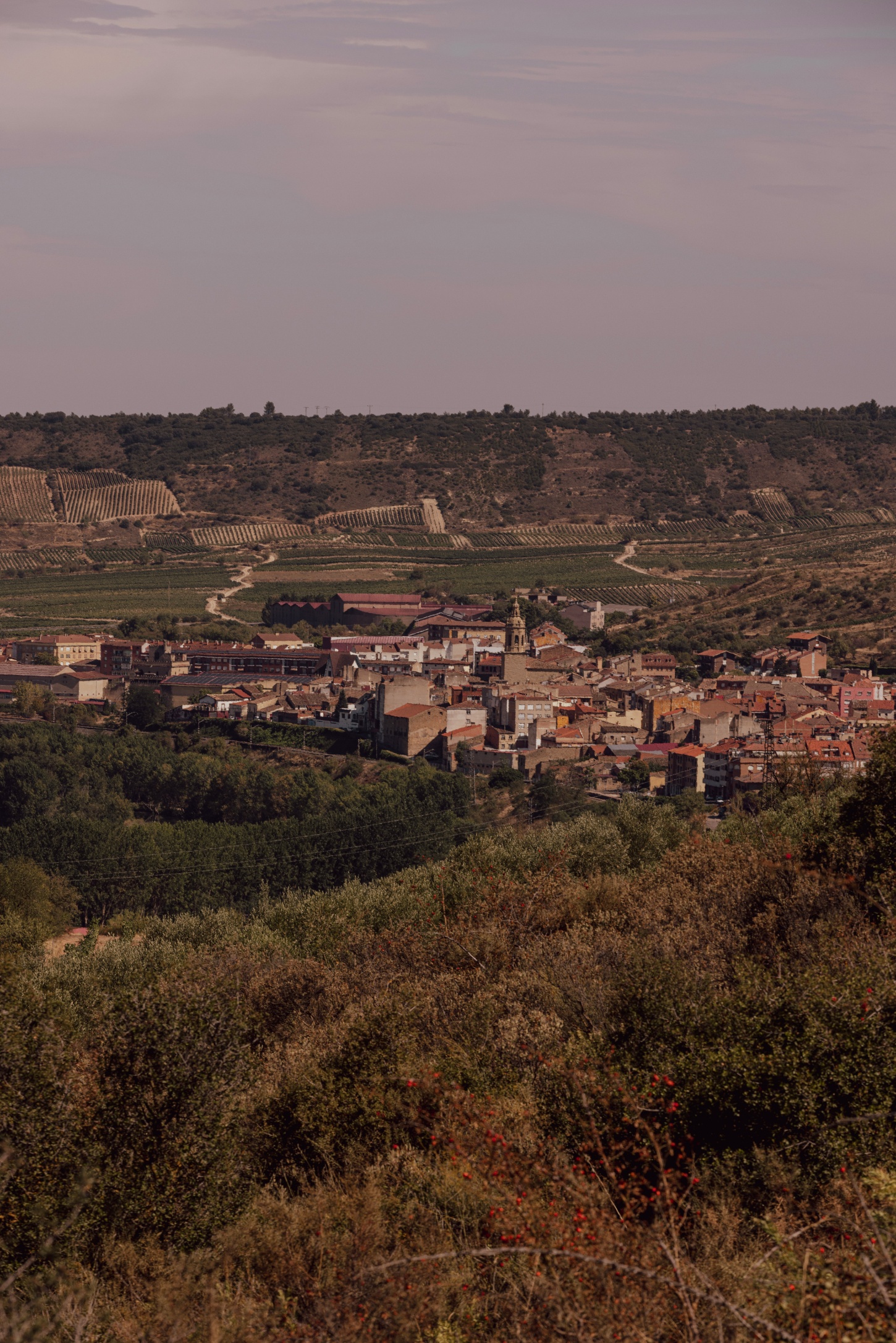 Tritium Winery by Francesc Rifé Studio — A hillside village in Cenicero, La Rioja spreads across the valley floor, its terracotta-tiled roofs and rendered ochre-brick buildings clustered densely...