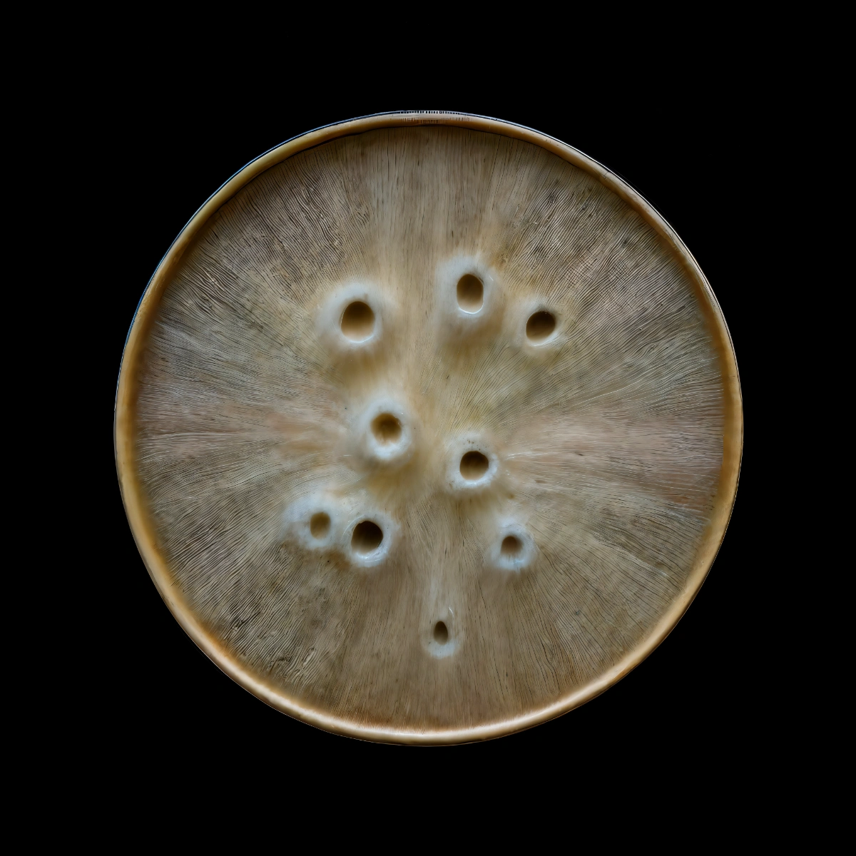mycelium network:abstraction by SYS™ — A circular petri dish dominates the frame, its surface rendered in monochromatic tones of grey, cream, and brown.