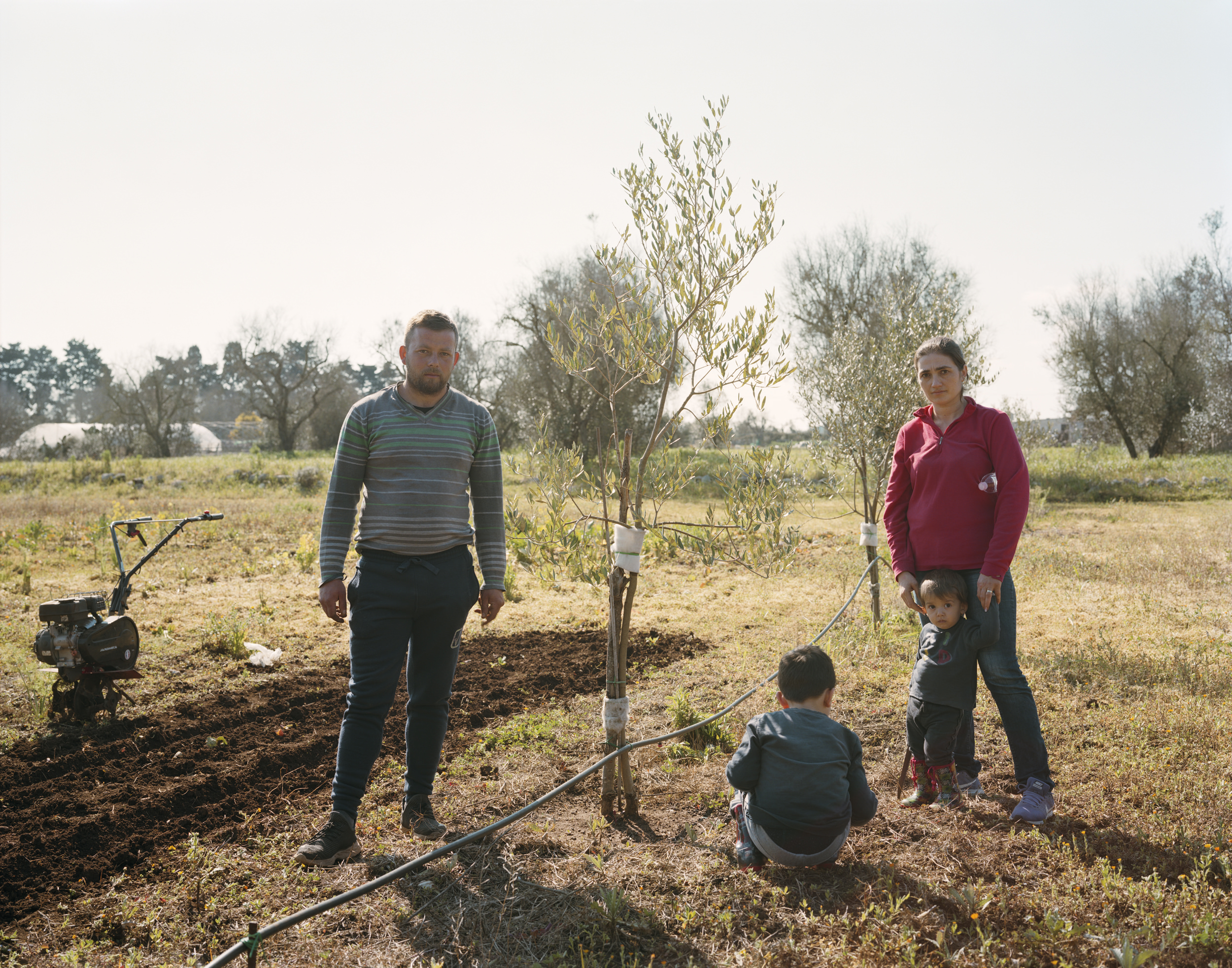 Ghosts in the Field by Murray Ballard — A family of four stands among newly planted olive saplings in a Puglian field, positioned around irrigation infrastructure.