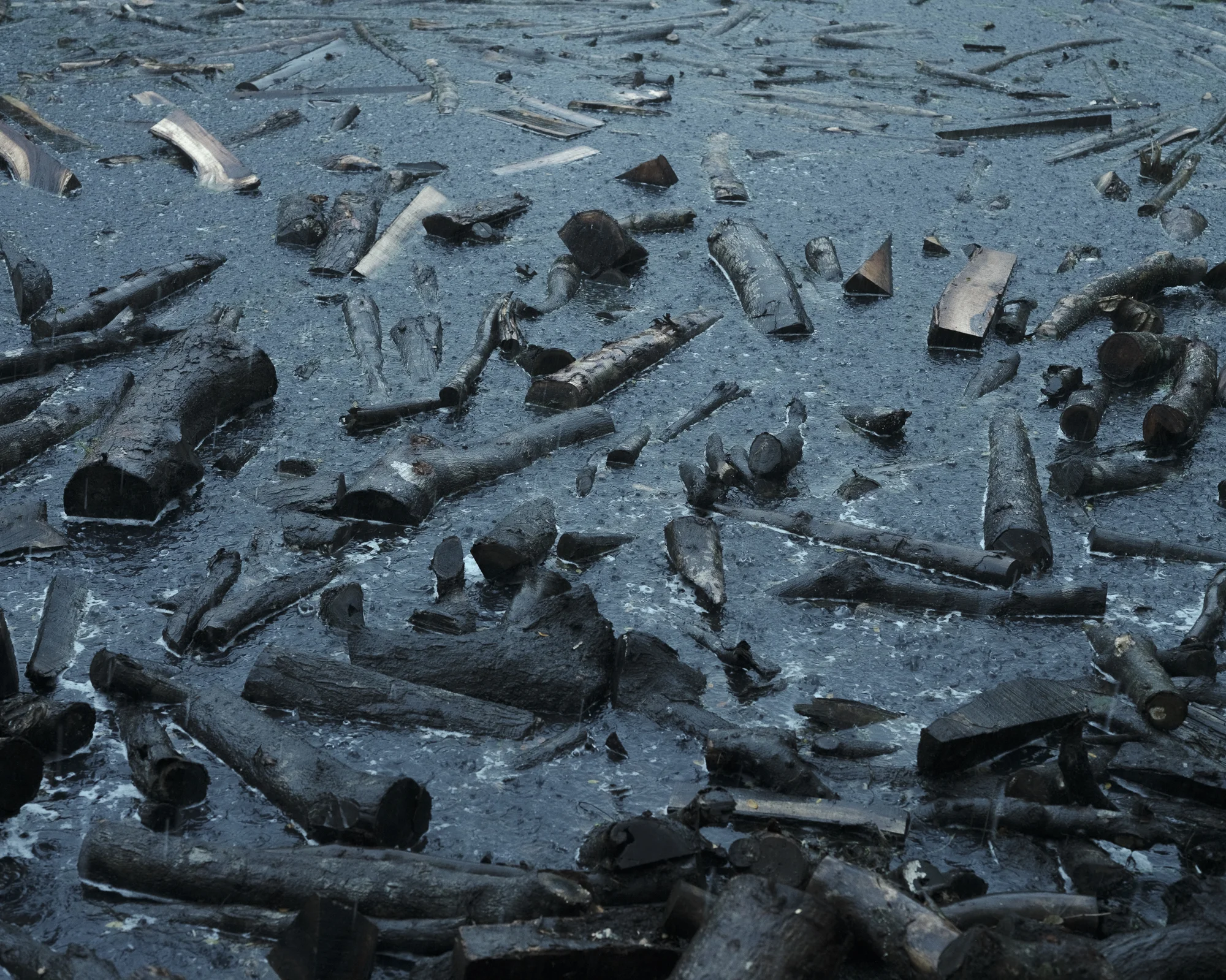 Leen / Jirno / Awngar by Sarker Protick