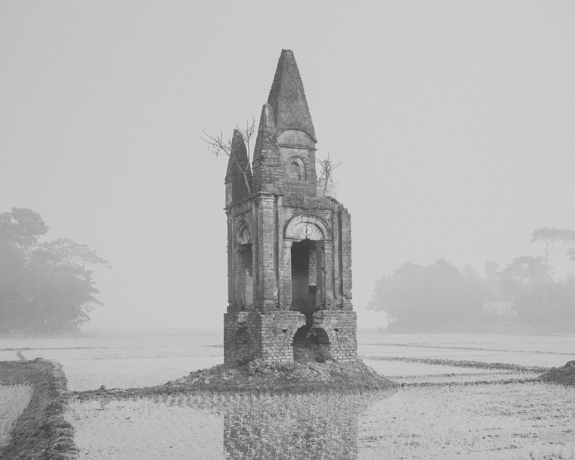 Leen / Jirno / Awngar by Sarker Protick, photographed by Sarker Protick — A brick tower rises through dense vegetation along a narrow path, its ornamental facade partially obscured by mist and overgrowth.