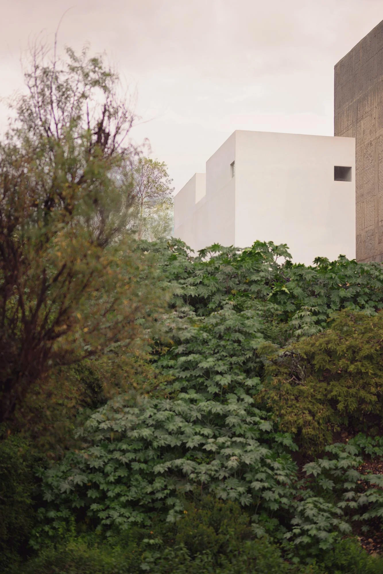 Kehai House by HW Studio, photographed by César Béjar, Gustavo Quiroz — A two-story white façade frames layered thresholds: an upper circular aperture contains a solitary figure silhouetted against shadow, while below, floor-to-ceiling glazing opens onto