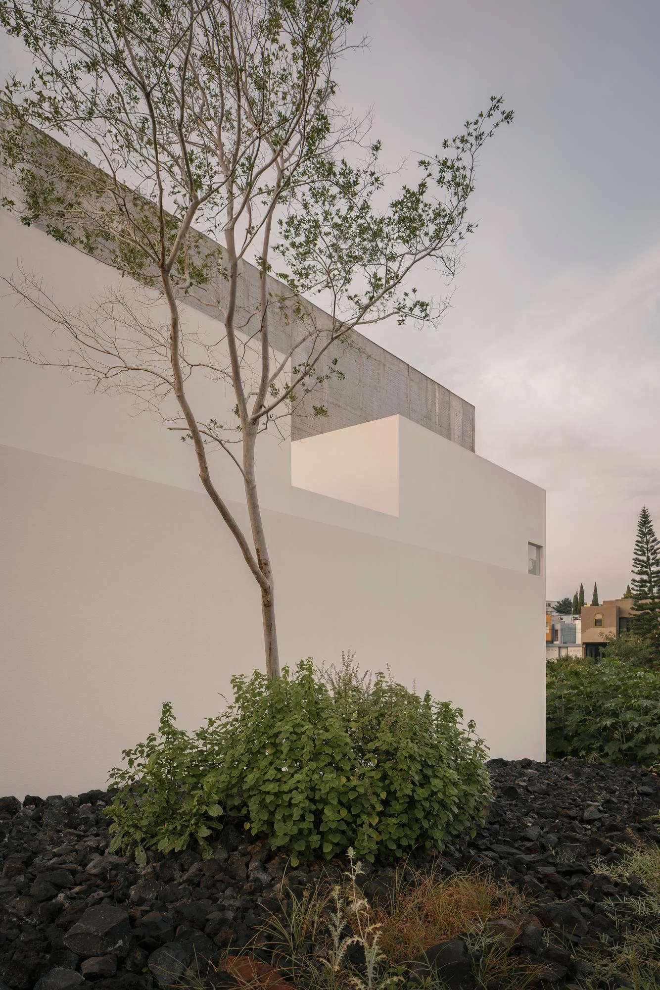 Kehai House by HW Studio, photographed by César Béjar, Gustavo Quiroz — A courtyard threshold frames the interior living space through floor-to-ceiling glazing.