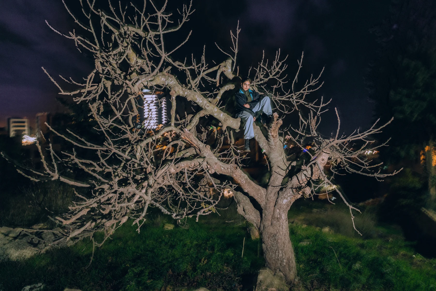 Landing by Maen Hammad, photographed by Maen Hammad — A bare tree, stripped of foliage and illuminated at night, serves as an unconventional gathering point.