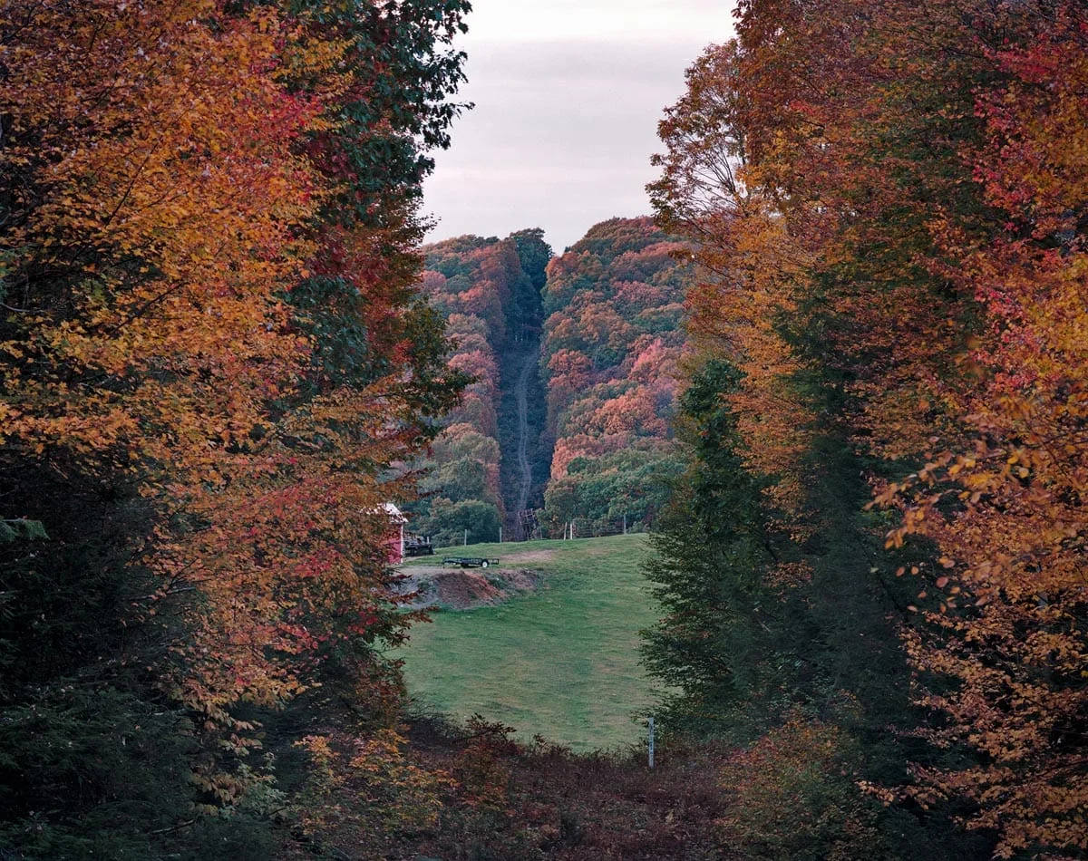 National Character by John Sanderson, photographed by John Sanderson — A modest timber-frame outbuilding with white-painted wood siding and a pitched roof stands adjacent to a bare deciduous tree in rural Pennsylvania.