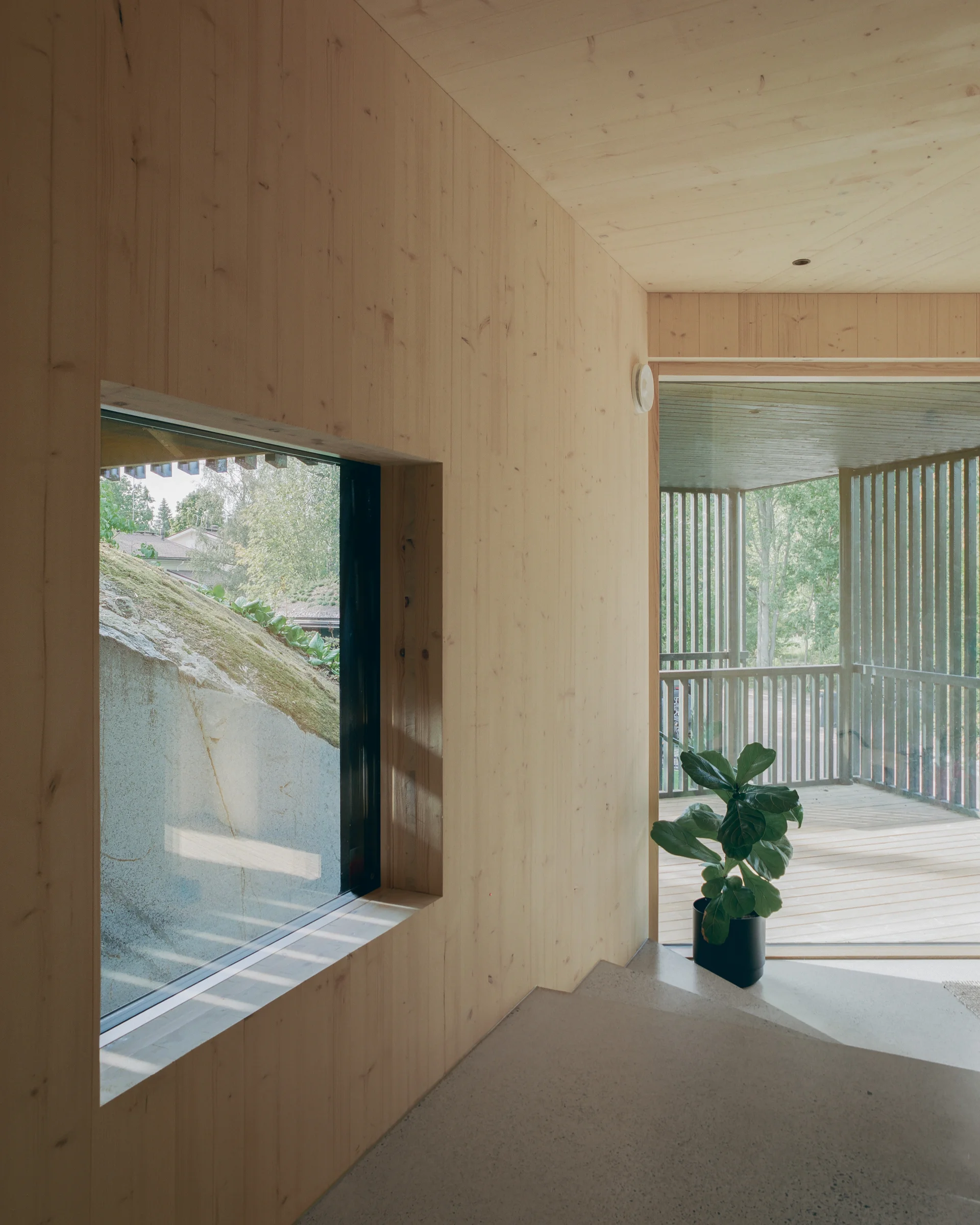 Villa Margo by Talli Ark, photographed by Kalle Kouhia — Villa Margo's dark-green-painted main residence is partially obscured by mature vegetation in this view from the access path.