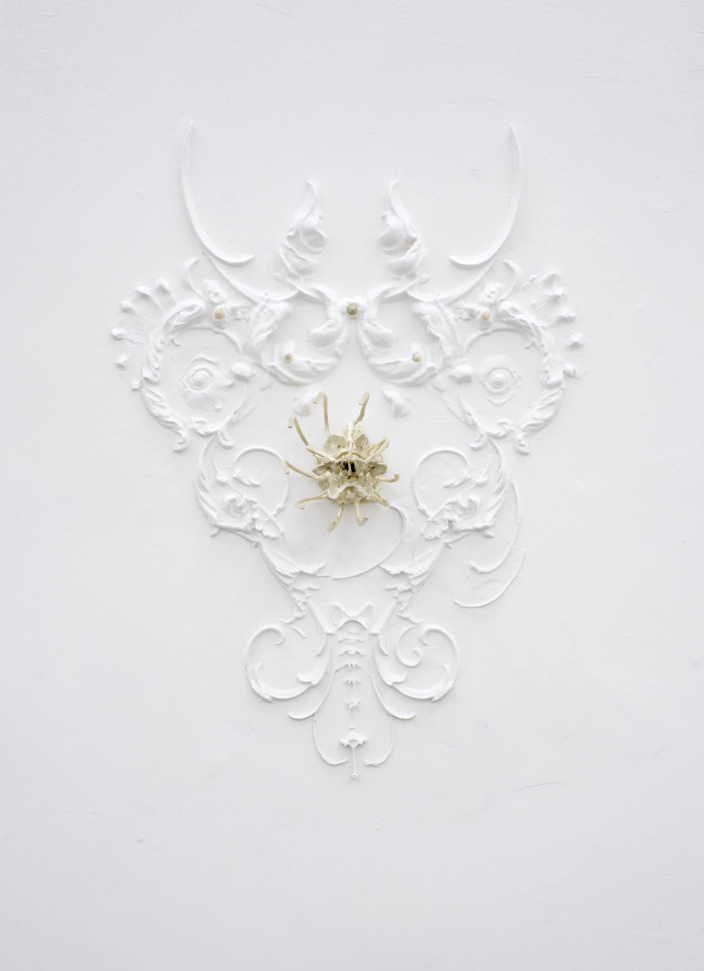 The Fire and its Ghosts by Andrea Luzi + Nicola Ghirardelli, photographed by Oscar Giacomini — Detail of the ceiling spiral showing cast shells, spines, and starfish linked as a suspended cosmology.