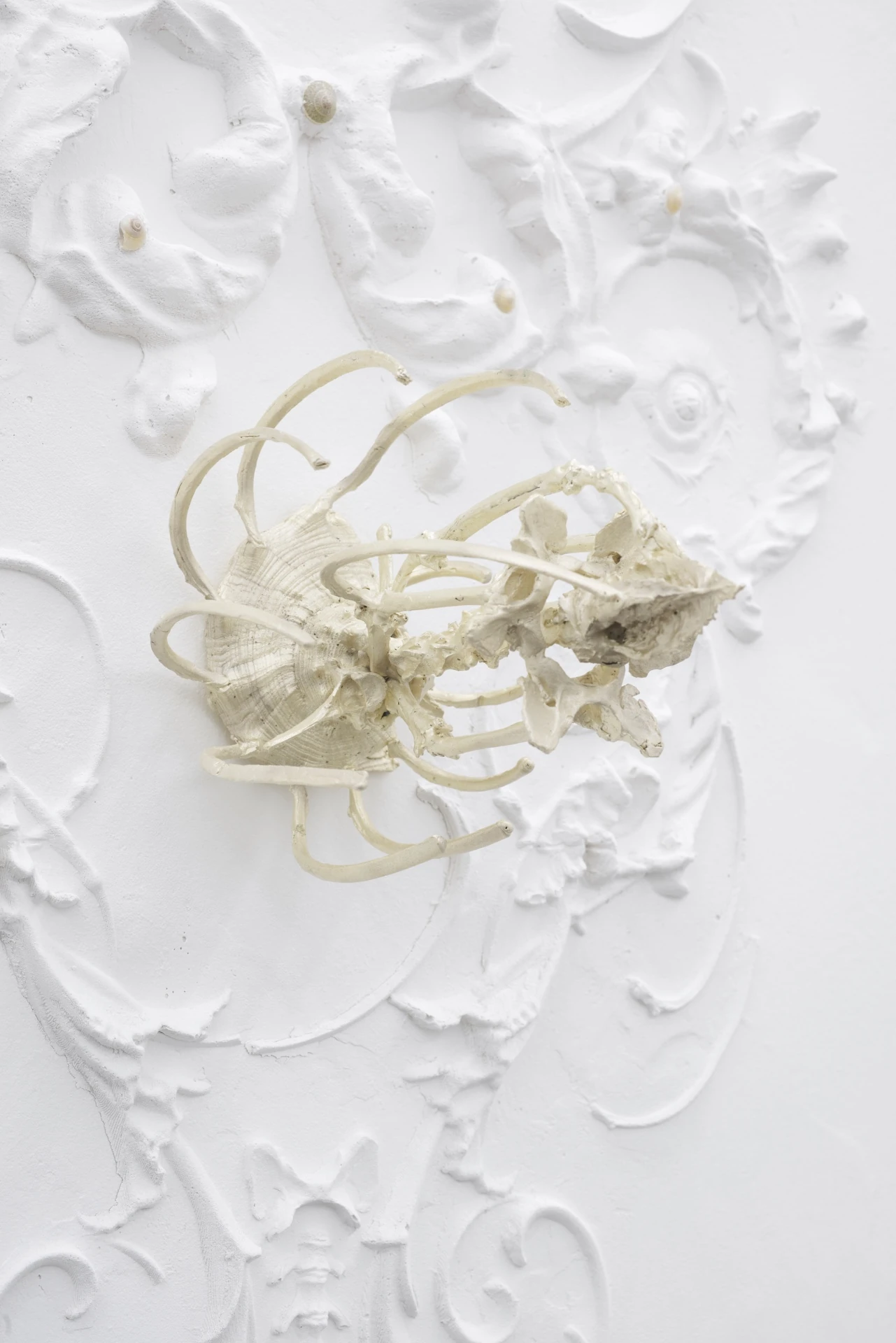 The Fire and its Ghosts by Andrea Luzi + Nicola Ghirardelli, photographed by Oscar Giacomini — Ceiling installation in silvered brass — a double Fibonacci spiral of starfish, shells, and vertebrae against a lower-floor vault.