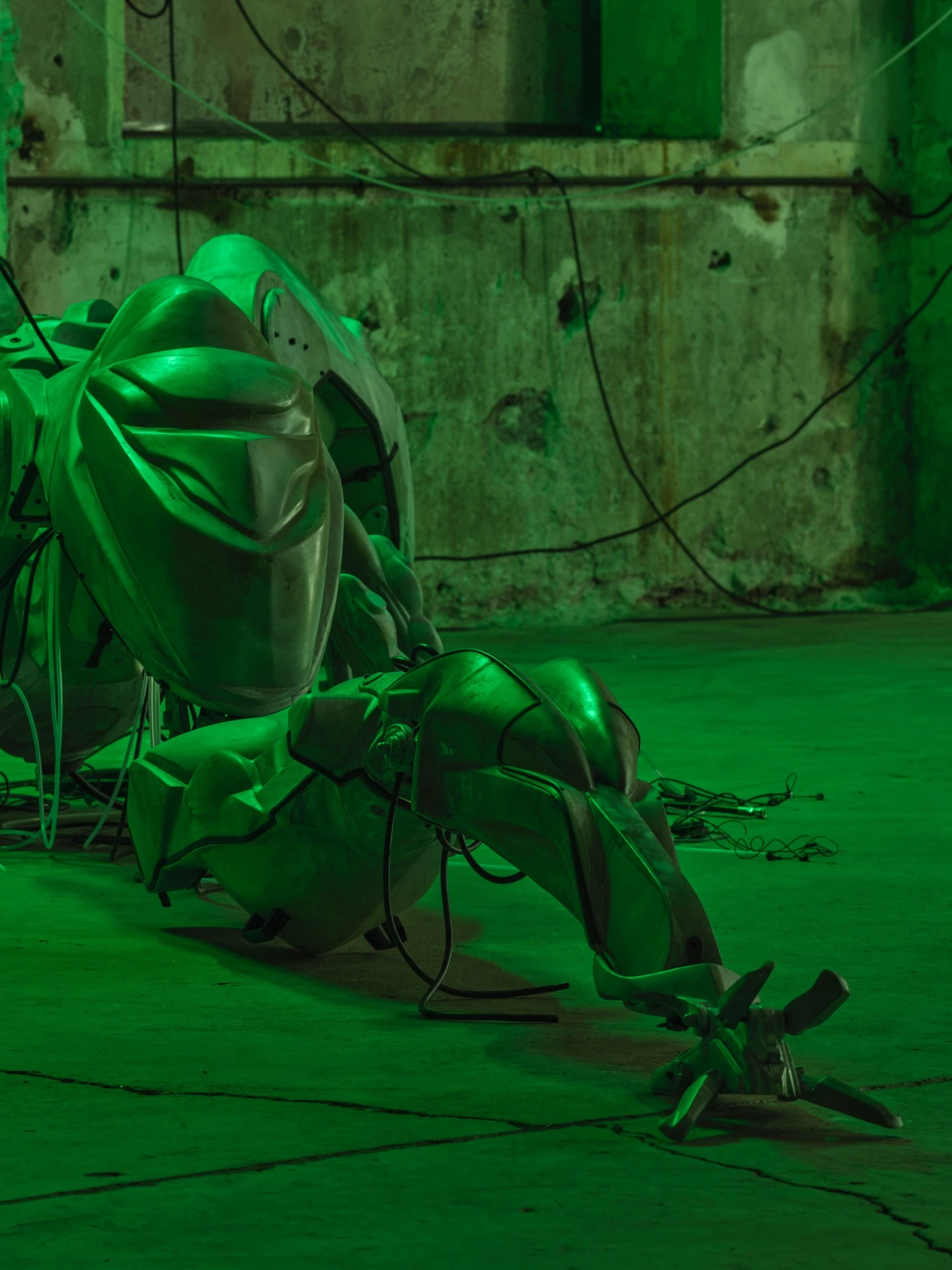 47°24’35’’N / 9°44’20’’E by Davide Allieri, photographed by Günter Richard Wett — Mecha detail: a cockpit plate with a pressed visor-like crest catches the light, a dislocated claw-foot and tangled cable resting in the foreground.