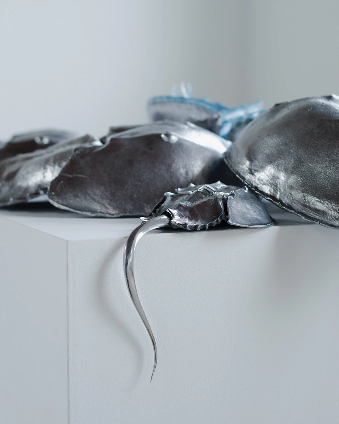 Blue Blooded — Sangue blu by Hannah Levy, photographed by Andrea Mignogna — close detail of the aluminium shells, their surface reading as dark pewter skin with a single mirror-polished tail curling down from the plinth.