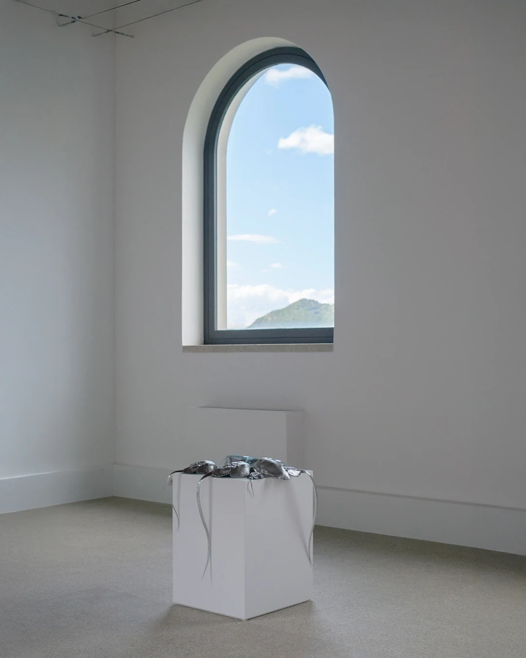 Blue Blooded — Sangue blu by Hannah Levy, photographed by Andrea Mignogna — a plinth of cast aluminium horseshoe-crab shells sits beneath a single arched window, their polished tails spilling over the edge toward the floor.