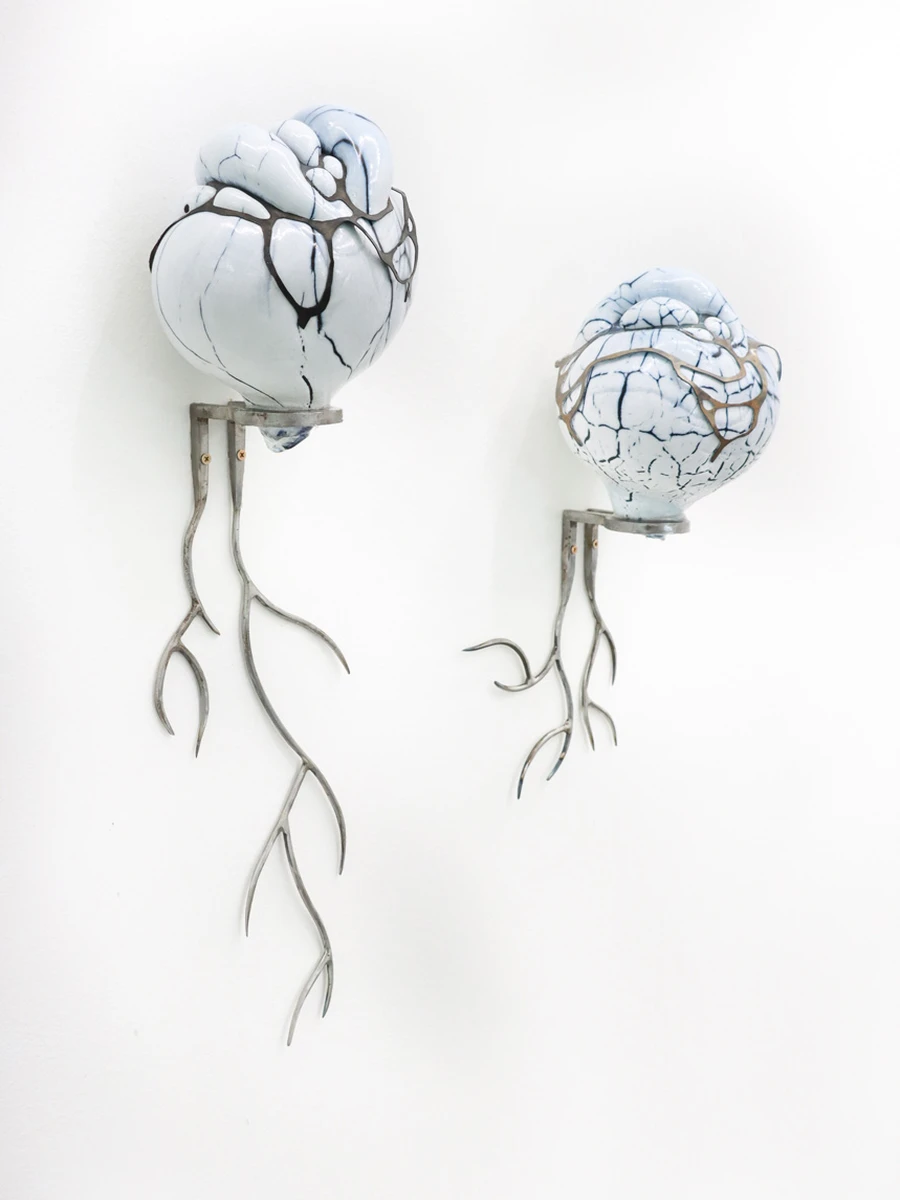 COAGVLA by Lena Becerra , Buenos Aires , Argentina