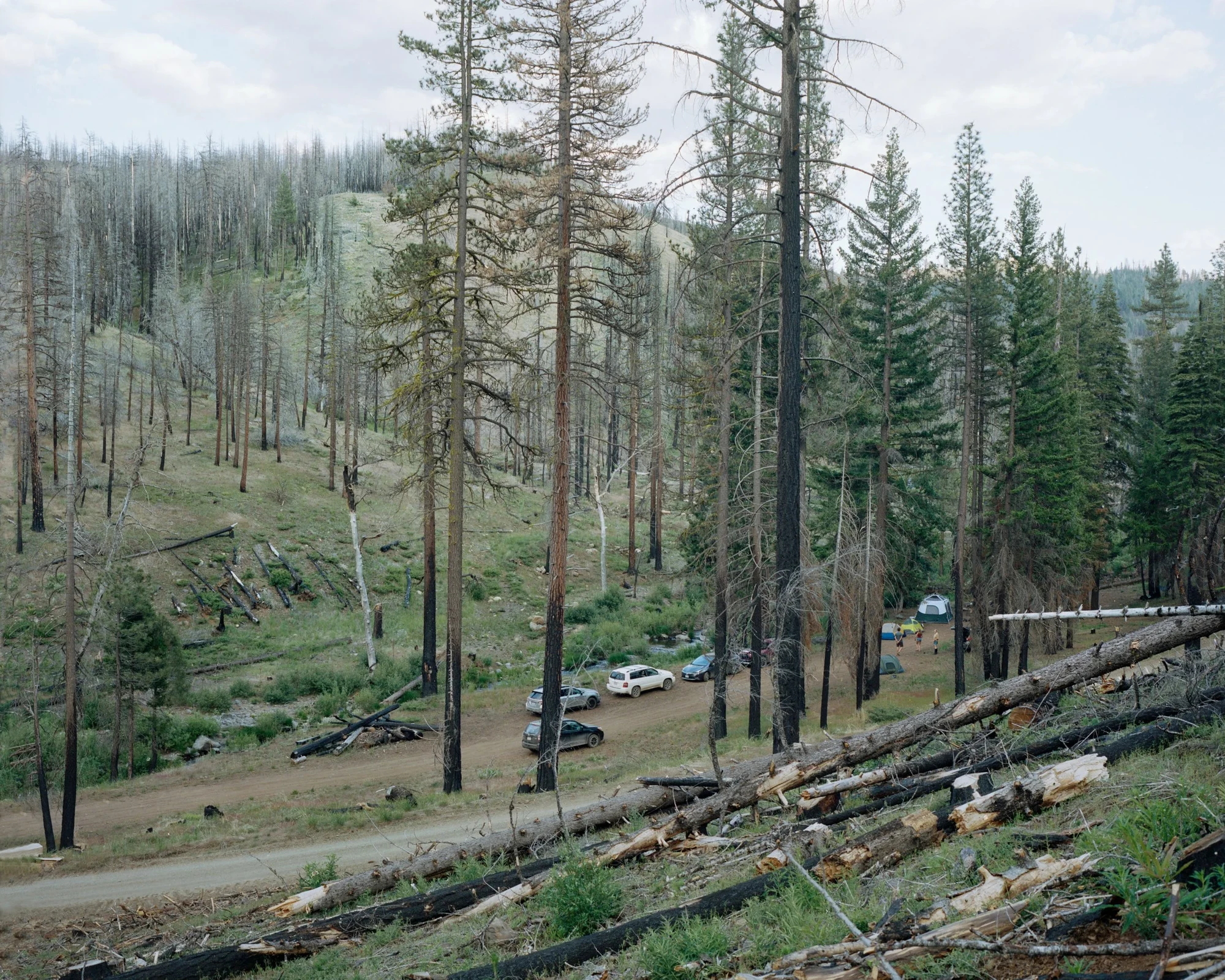 Camp by Blake Masi