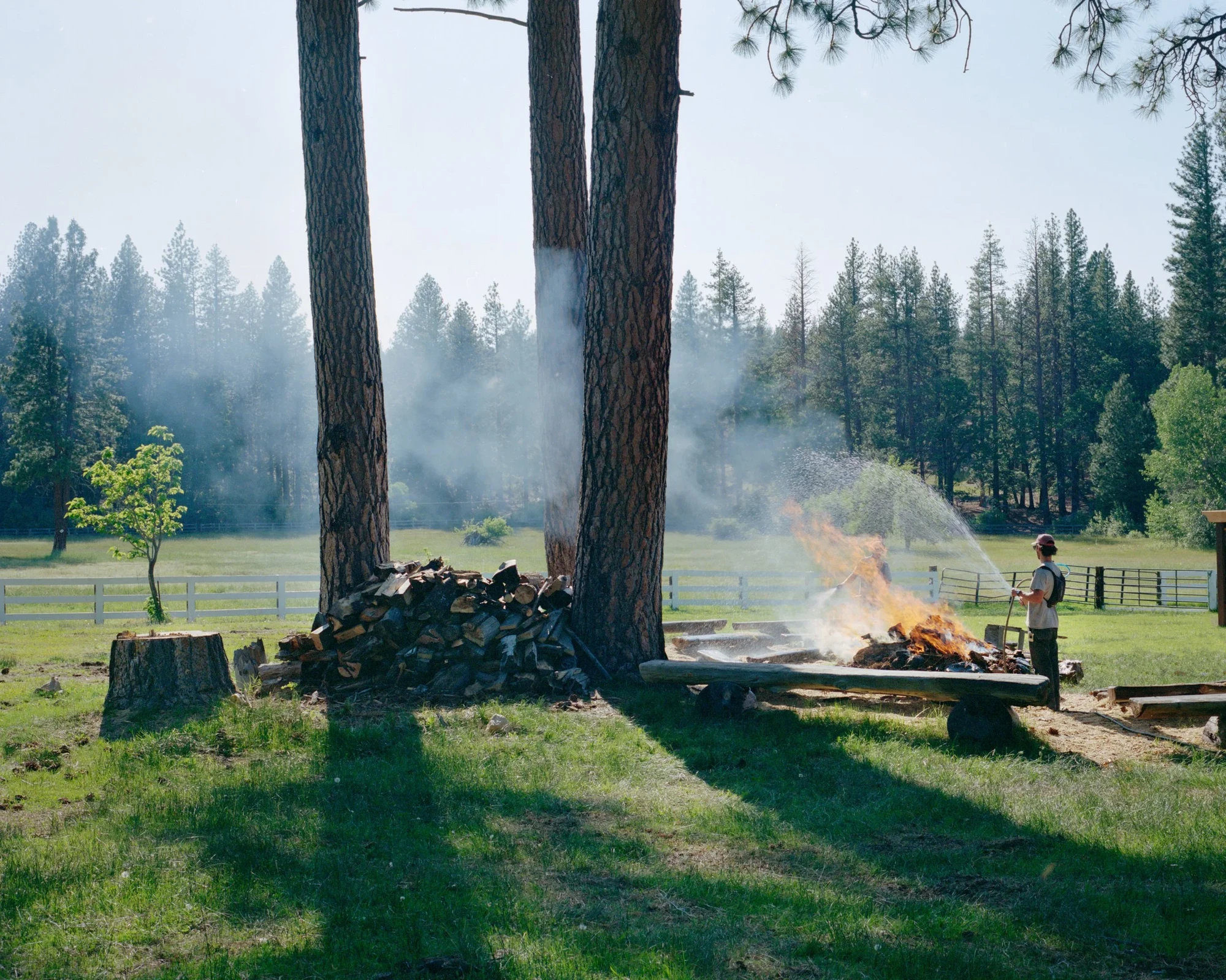 Camp by Blake Masi, photographed by Blake Masi — A figure hoses down a bonfire between two tall ponderosa pines, smoke rising against a hazy green meadow and white-painted fence.