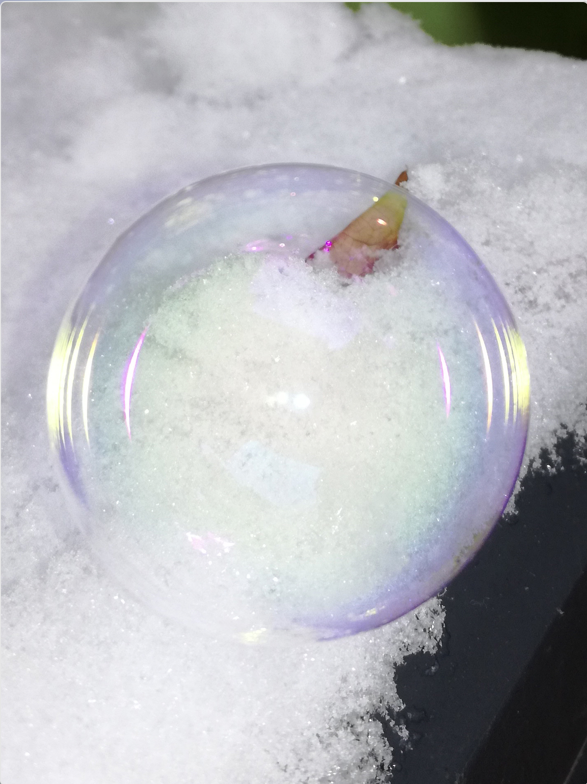 Same Dialect of Different Languages by Antonia Mayer, photographed by Antonia Mayer — Iridescent soap bubble resting in fresh snow, pale colours shifting across the surface — macro, outdoors.