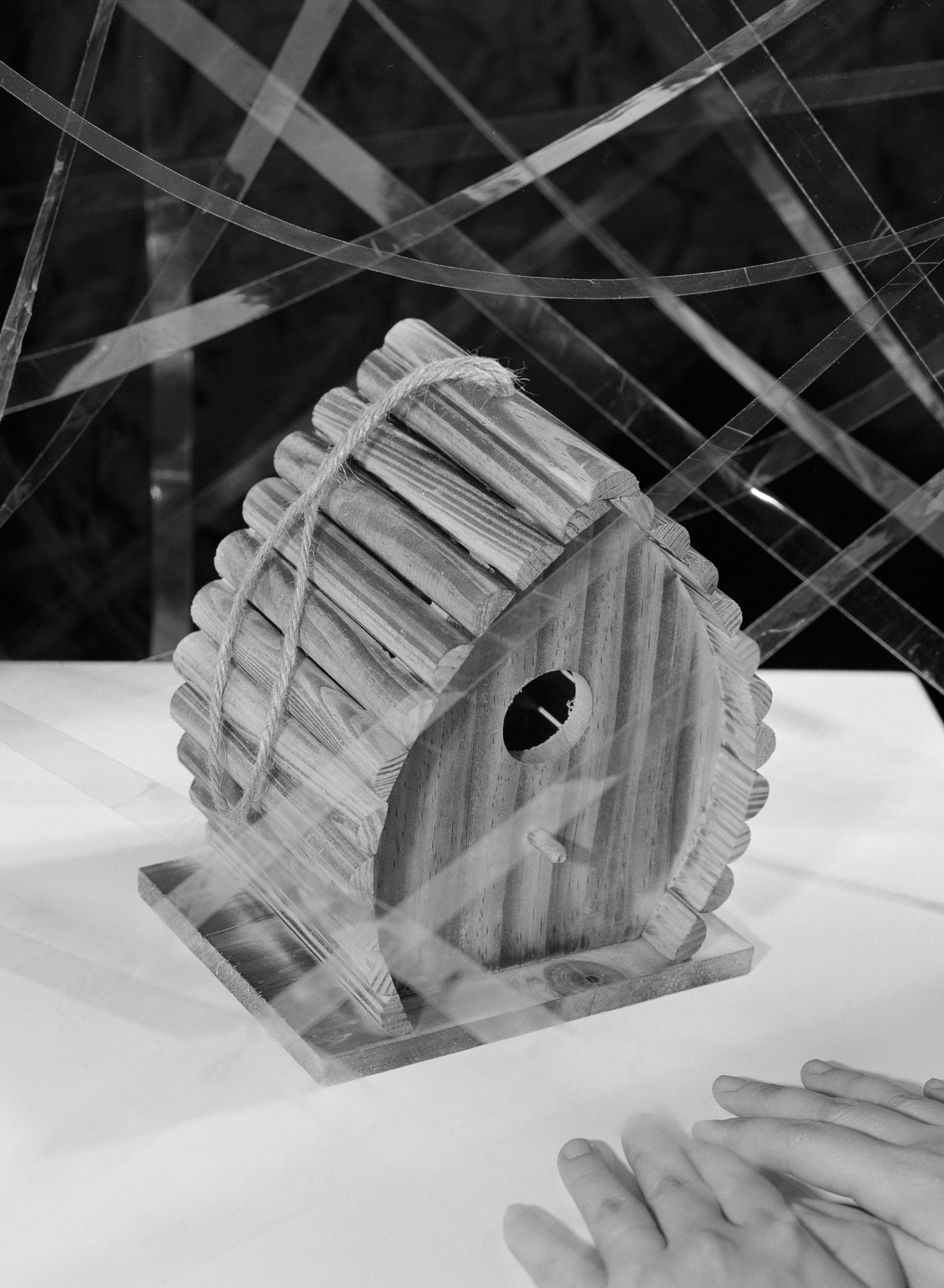 Trust Me by Jinyong Lian, photographed by Jinyong Lian — Black-and-white: a small wooden birdhouse on a white surface, hands at the base, criss-crossing plastic sheets in the background.