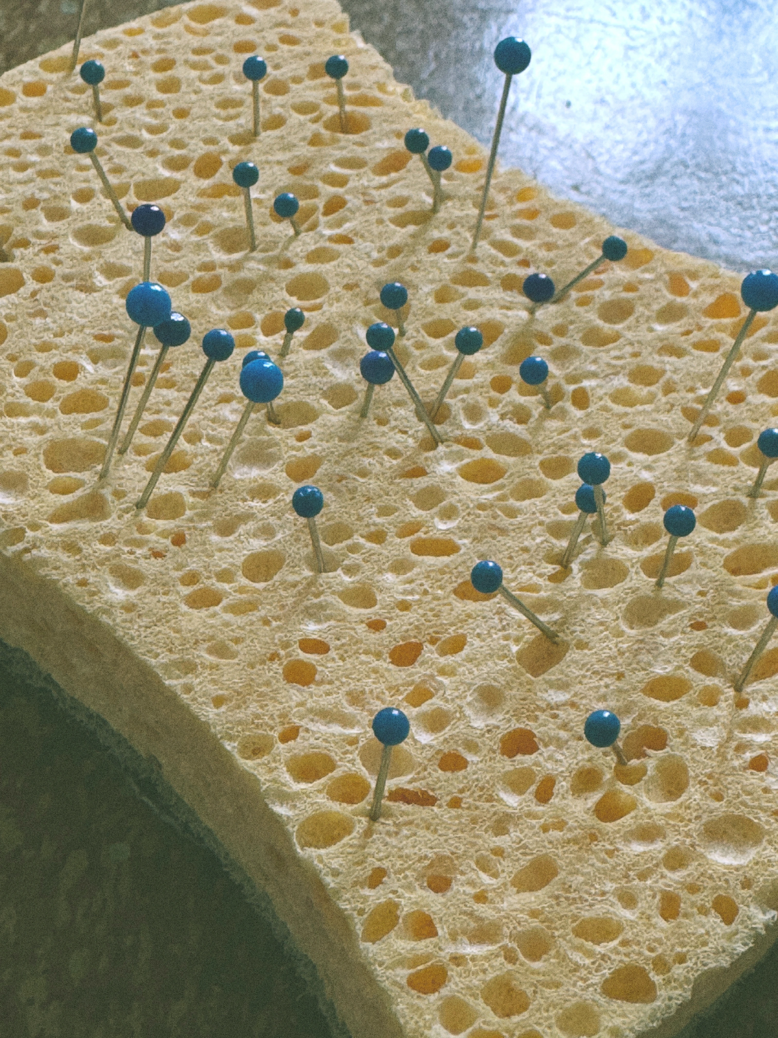 Same Dialect of Different Languages by Antonia Mayer, photographed by Antonia Mayer — Yellow household sponge pierced through with blue-headed pins, on a mottled stone surface.