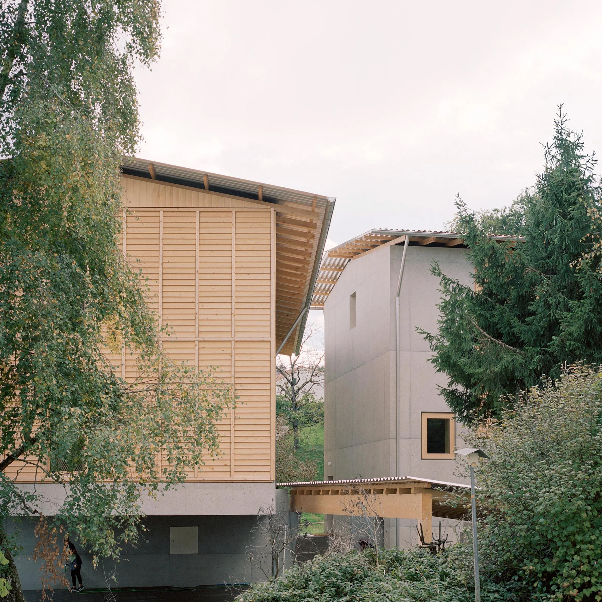 Hameau des Marais by Deschenaux Architectes, photographed by Rory Gardiner — The larch-louvered upper volume set against birch trees, a second concrete-clad building visible behind, afternoon light warming the facade.