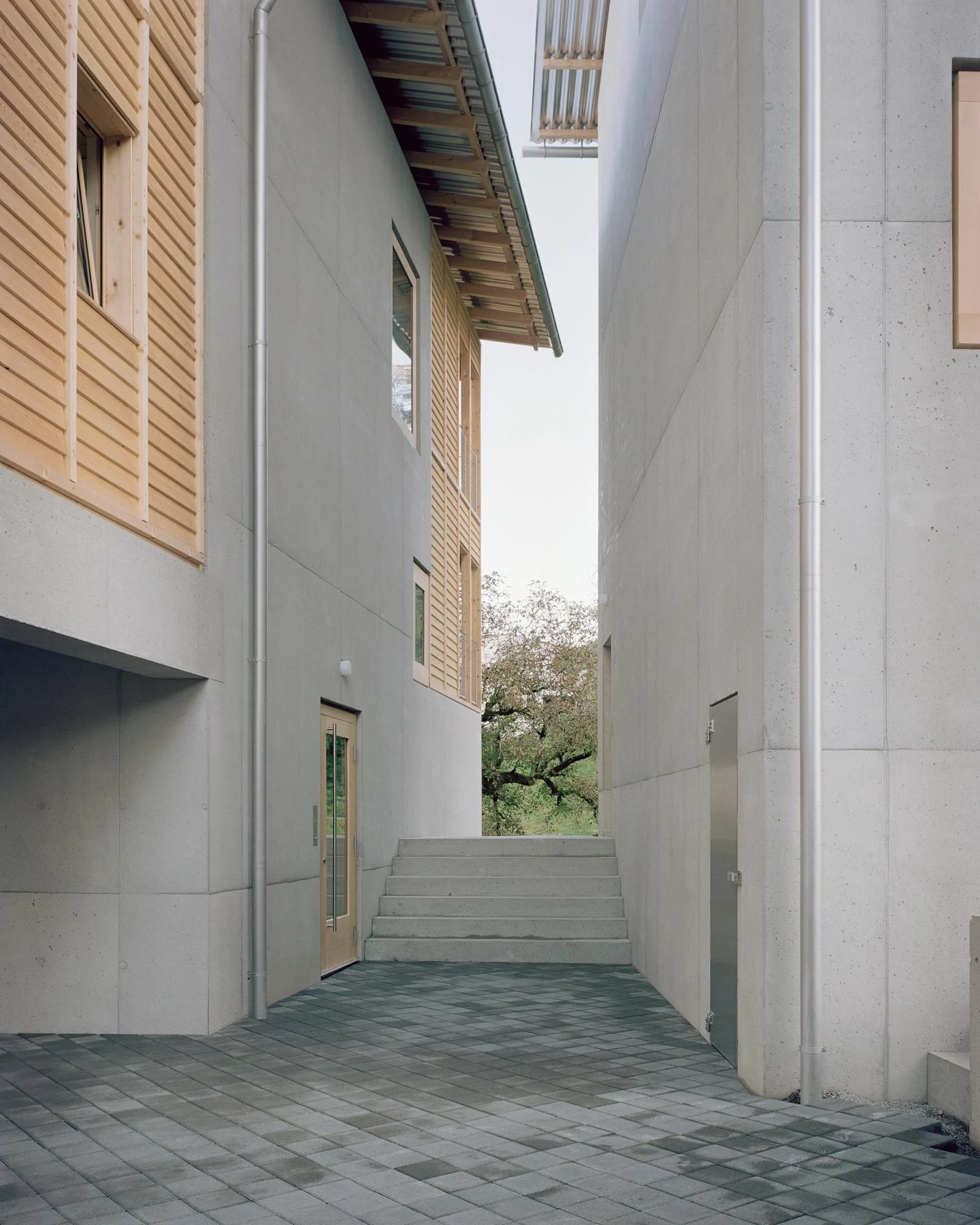 Hameau des Marais by Deschenaux Architectes, photographed by Rory Gardiner — The narrow passage between the two buildings, board-formed concrete on both flanks, concrete steps rising to the garden, a larch-framed door at the base.
