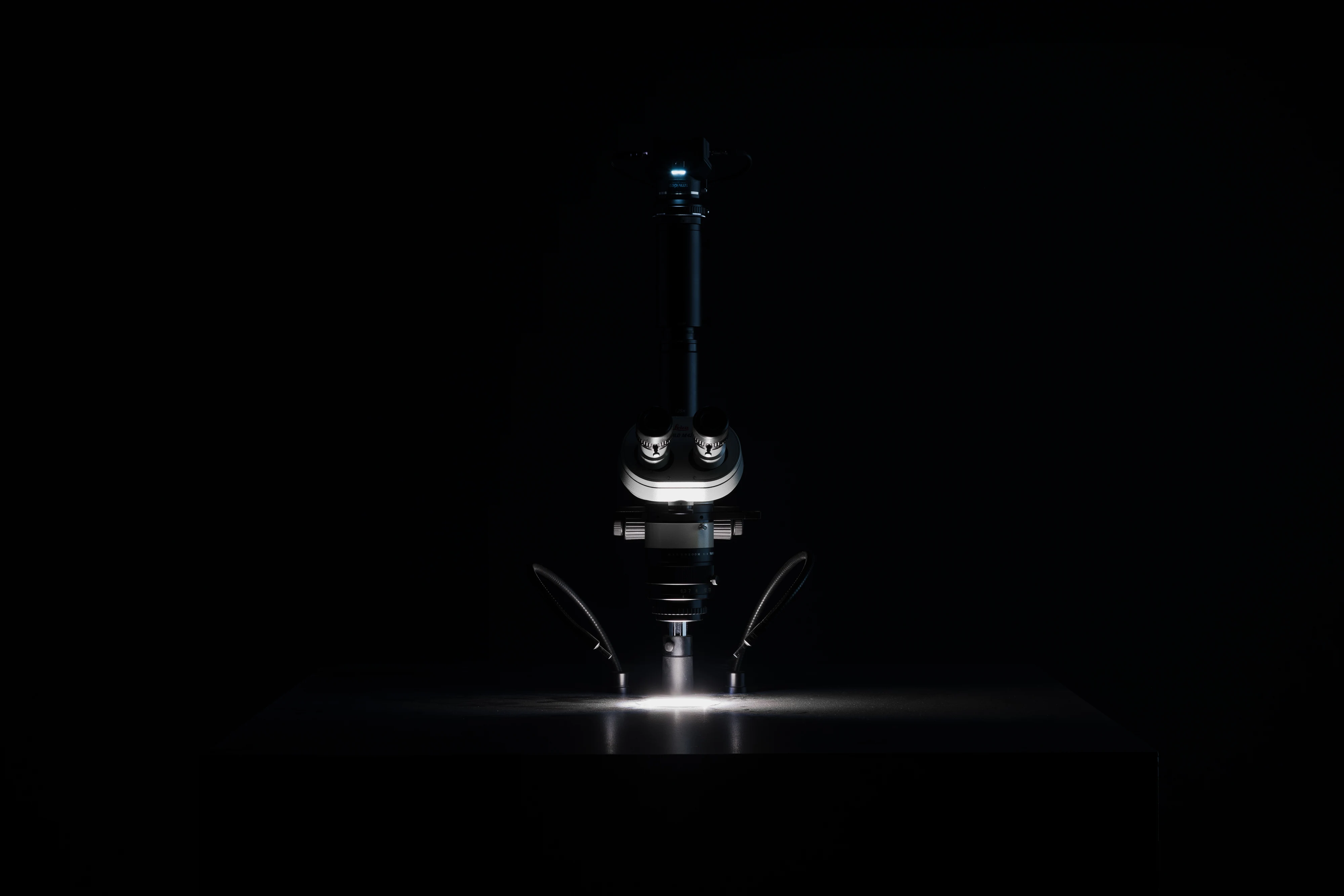 Strange Rules by Mat Dryhurst, Holly Herndon, Hans Ulrich Obrist, Adriana Rispoli — Scientific laboratory microscope lit from below on a black plinth in darkness, its binocular eyepiece and adjustment dials visible, a single bright point of light at the…