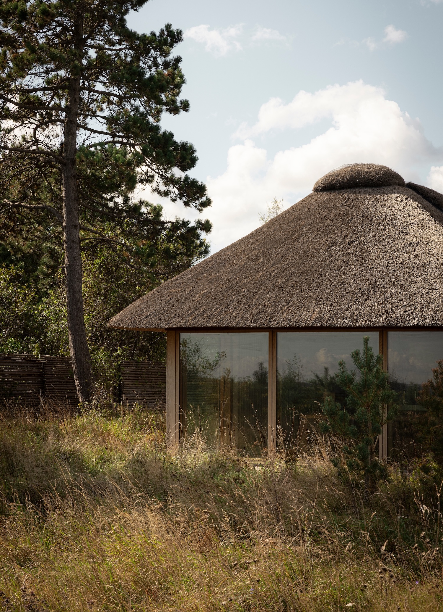 Shoreline Studio by Norm Architects, photographed by Norm Architects — Thatched-roof pavilion with floor-to-ceiling oak-framed glass set among coastal pines and meadow grasses under overcast Danish sky.