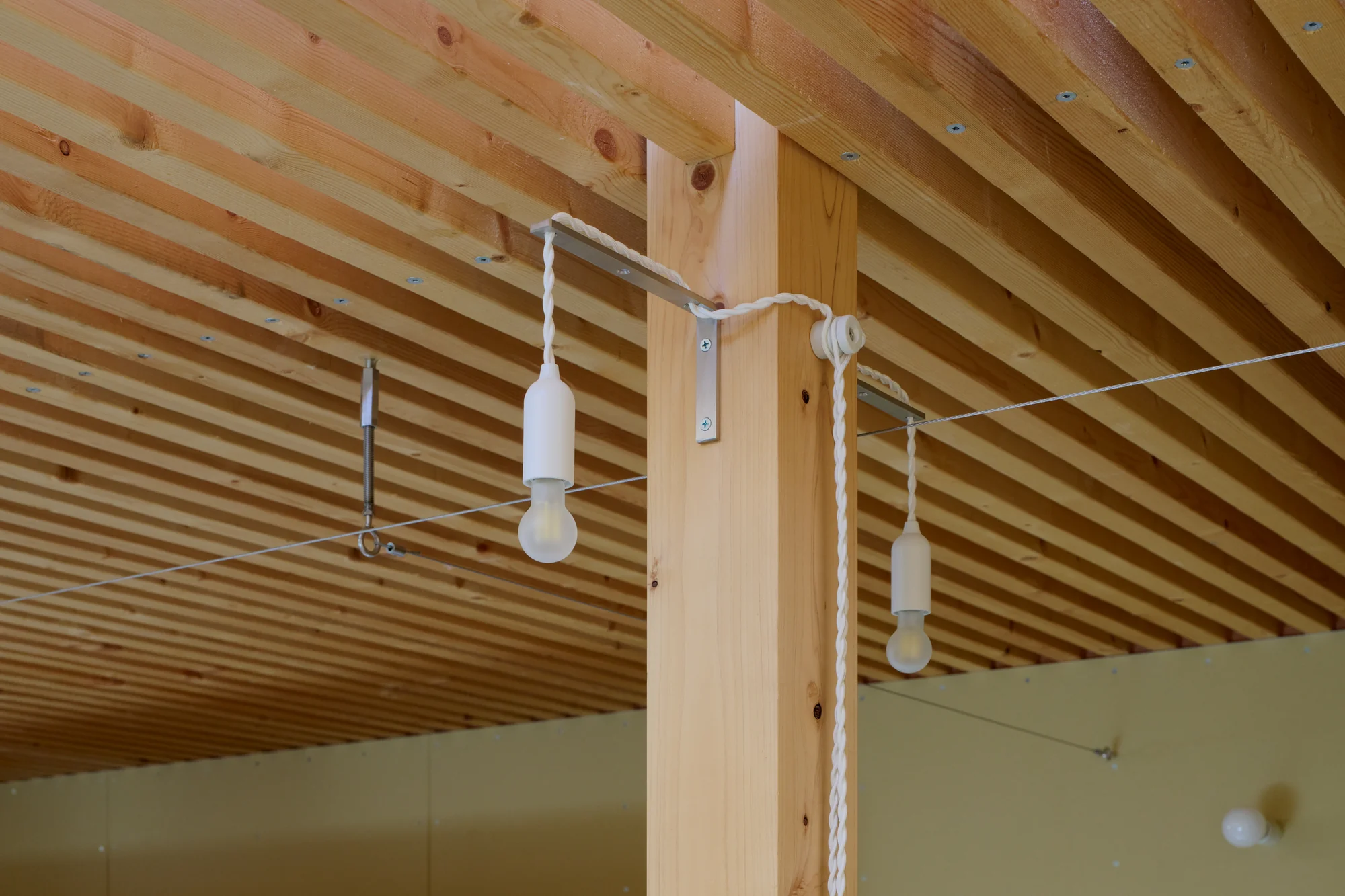 House TN by 1-1 Architects, photographed by Takashi Uemura — Pendant lights hang from wire cables below the timber louver ceiling, the consistent slat rhythm extending across the full floor plate.