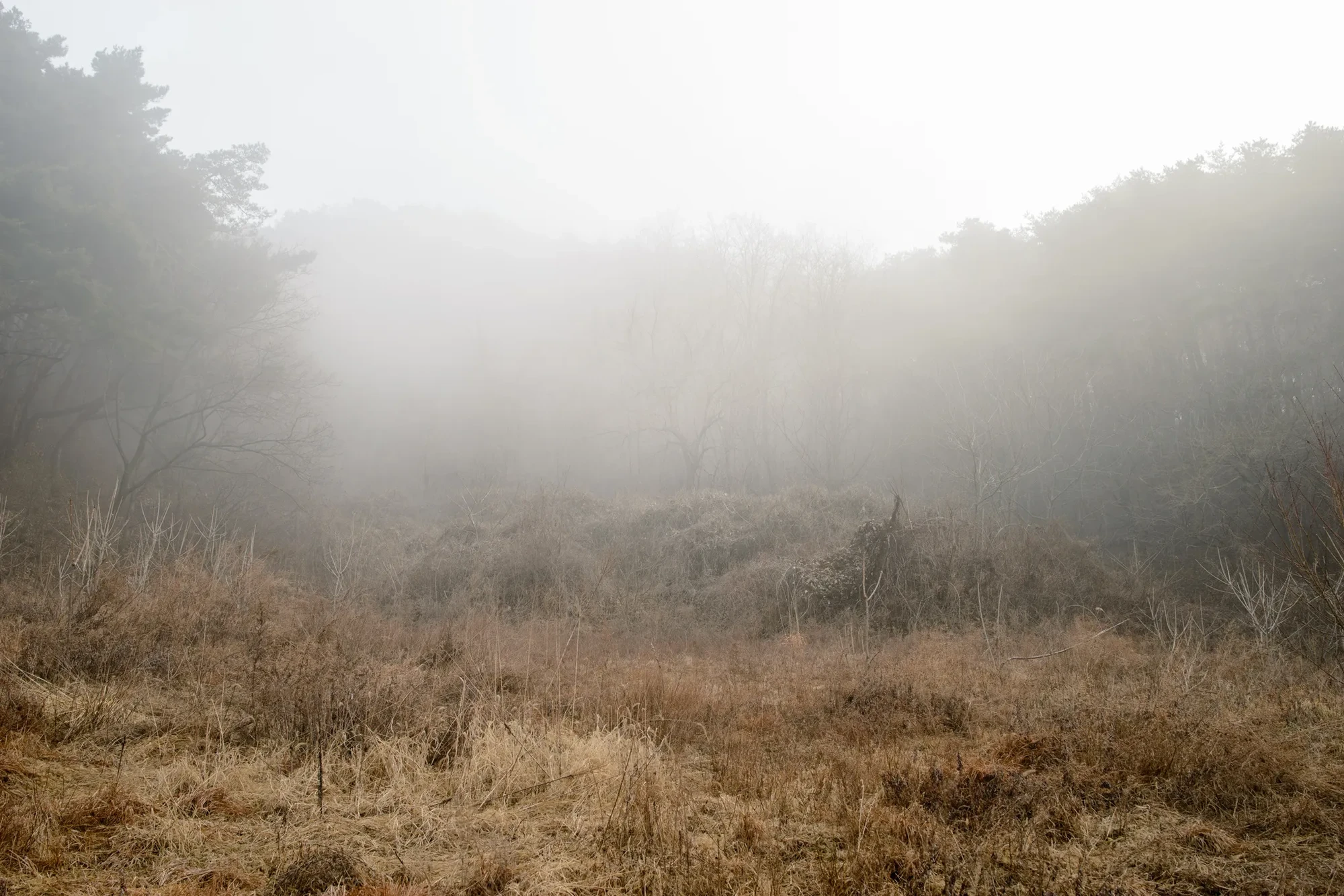 In the Well by goseong