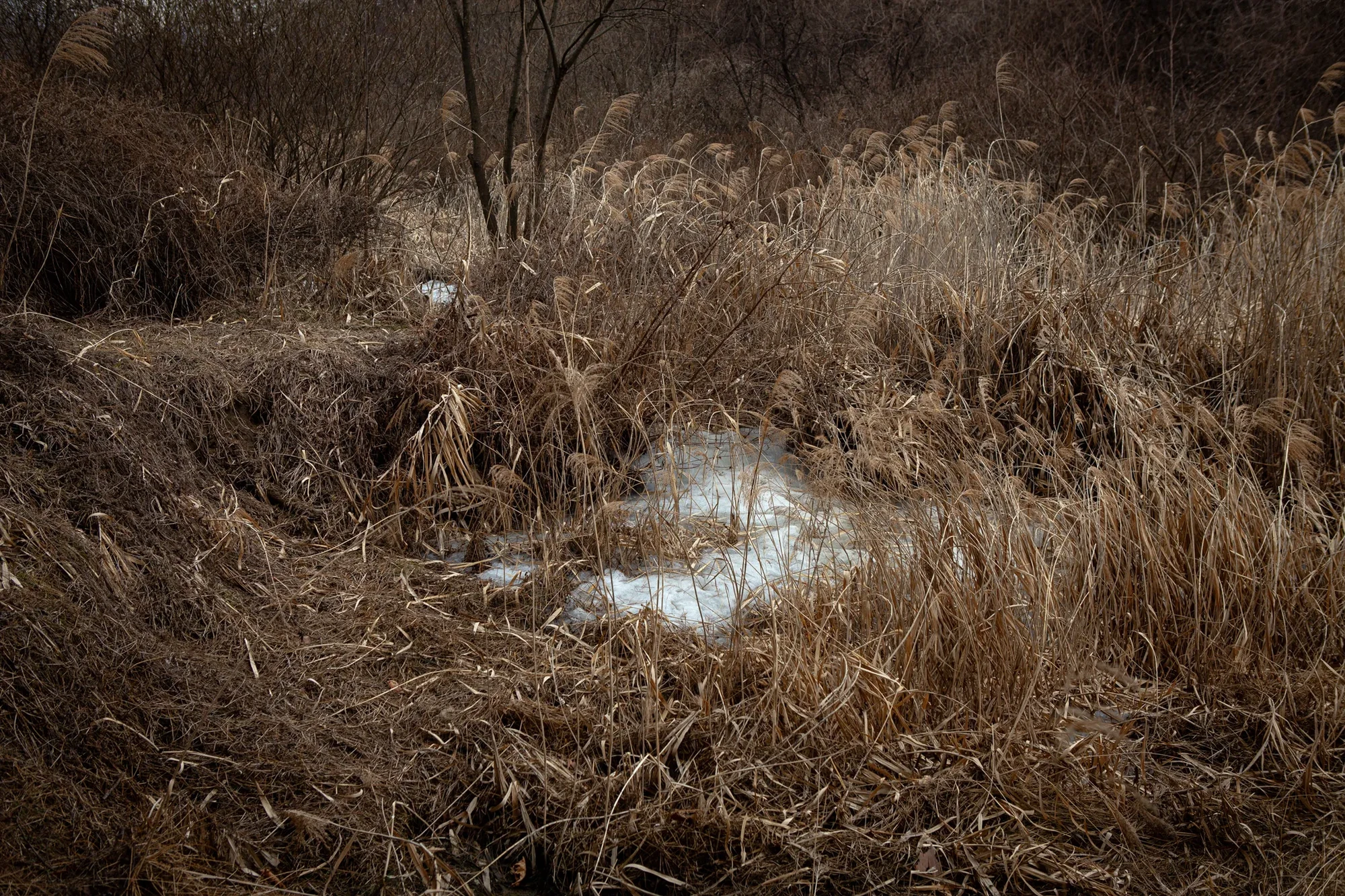 In the Well by goseong, Korean photography series, childhood memory, darkness, well, monochrome long-exposure, photographed by goseong