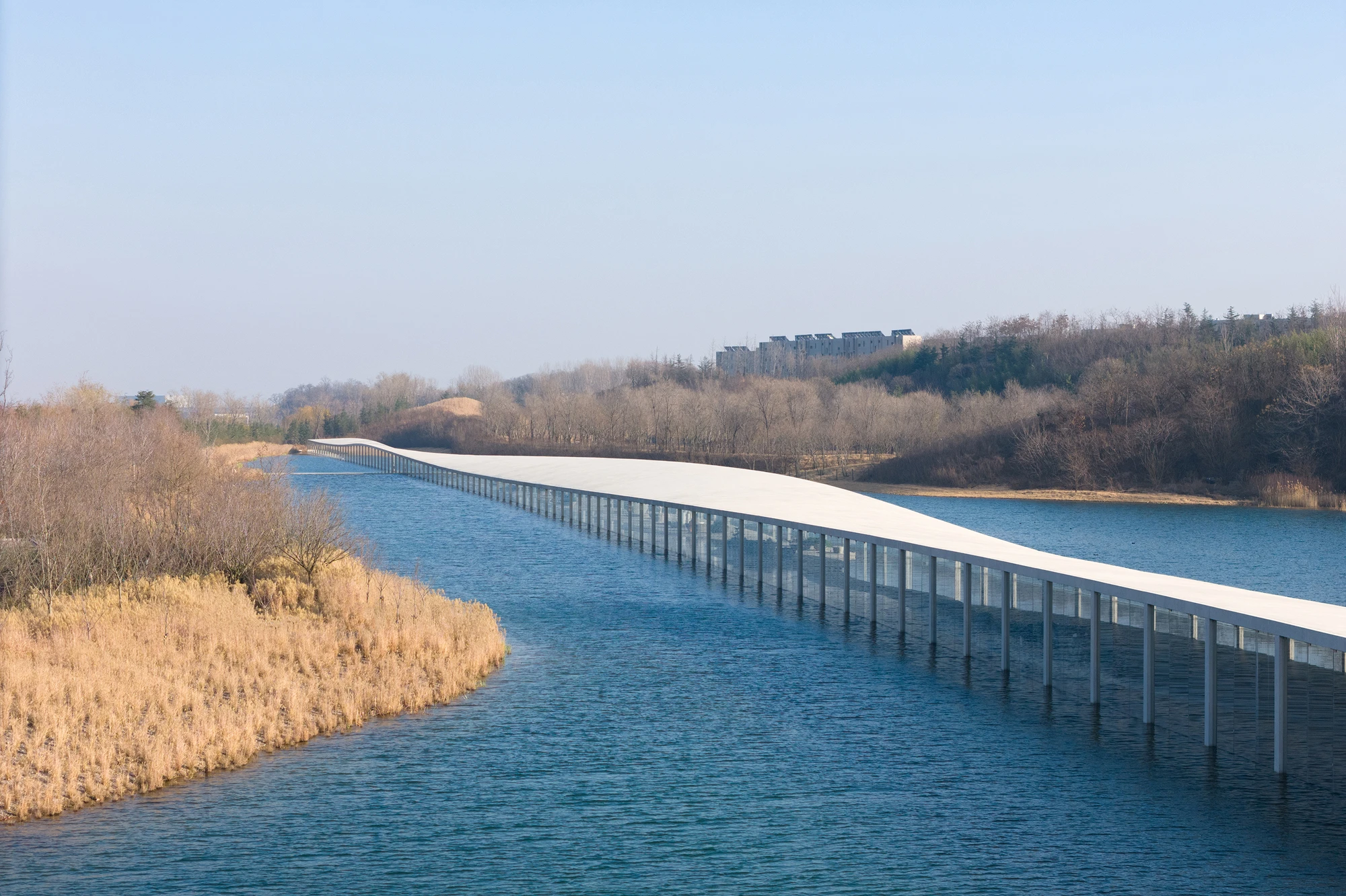 Zaishui Art Museum by junya ishigami + associates, Rizhao Shandong China, one kilometre long, lake, slender columns in water, sash roof, photographed by arch-exist