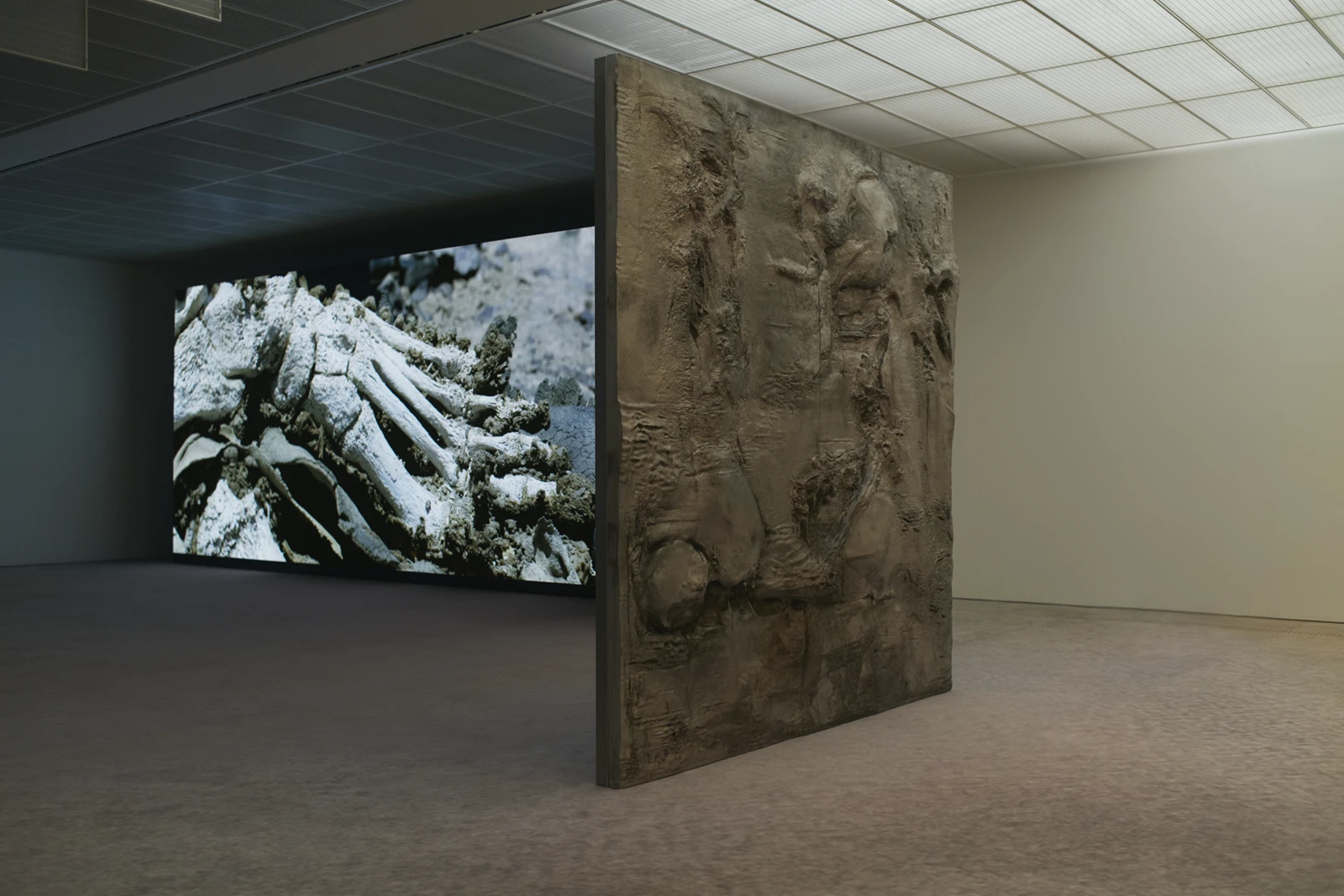Pierre Huyghe at Fondation Beyeler